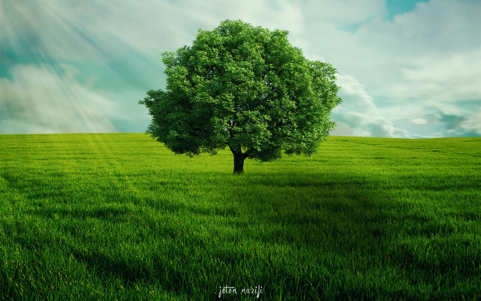 day, high, landscape, sky, one person, green, rural scene, field, growth, beauty in nature, grass, scenics - nature, outdoors, land, environment, HD Wallpaper