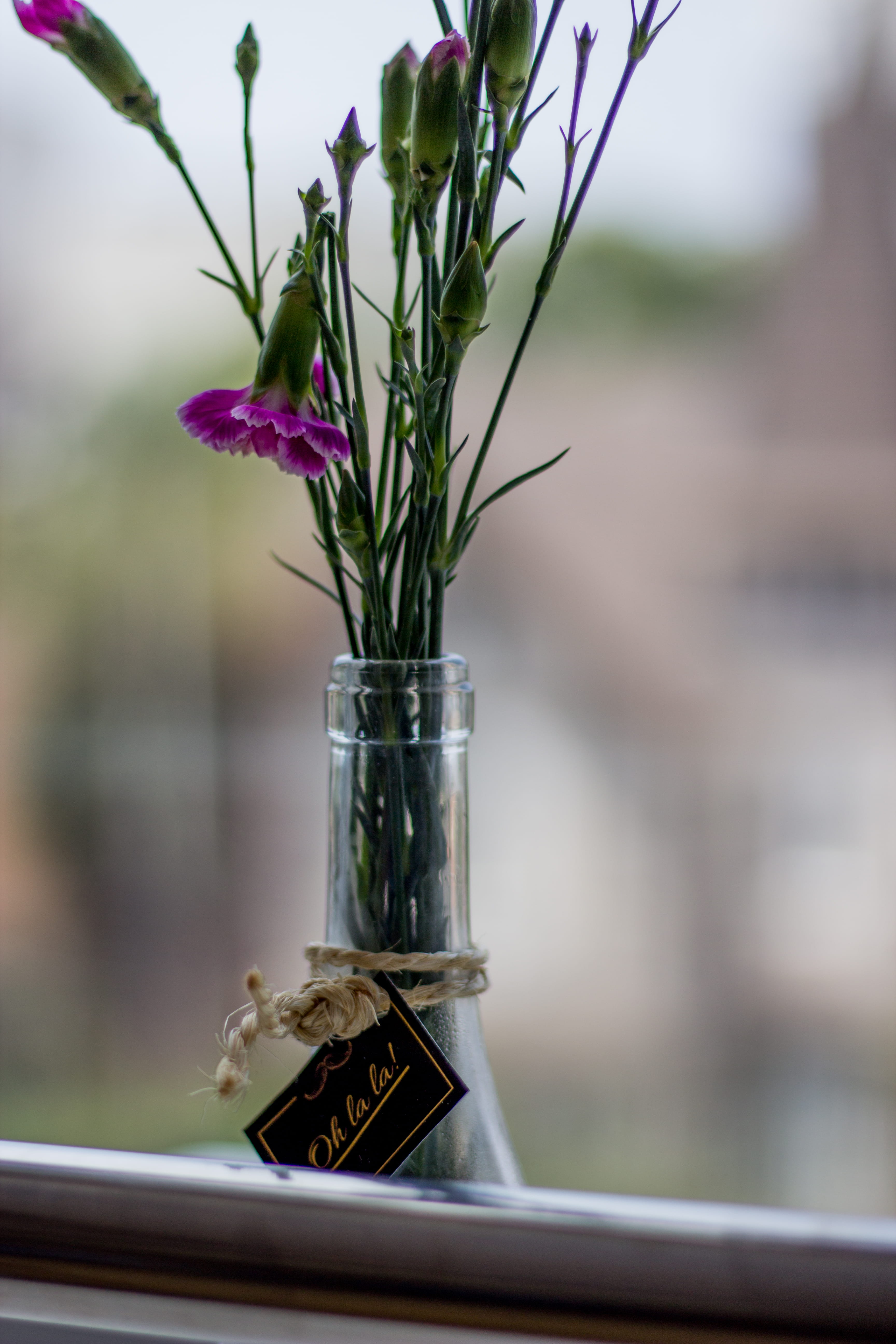lila, outdoors, event, aperture, plant, flower, focus on foreground, fragility, beauty in nature, fotografia, isil, decoration, no people, glass - material, Phone HD Wallpaper