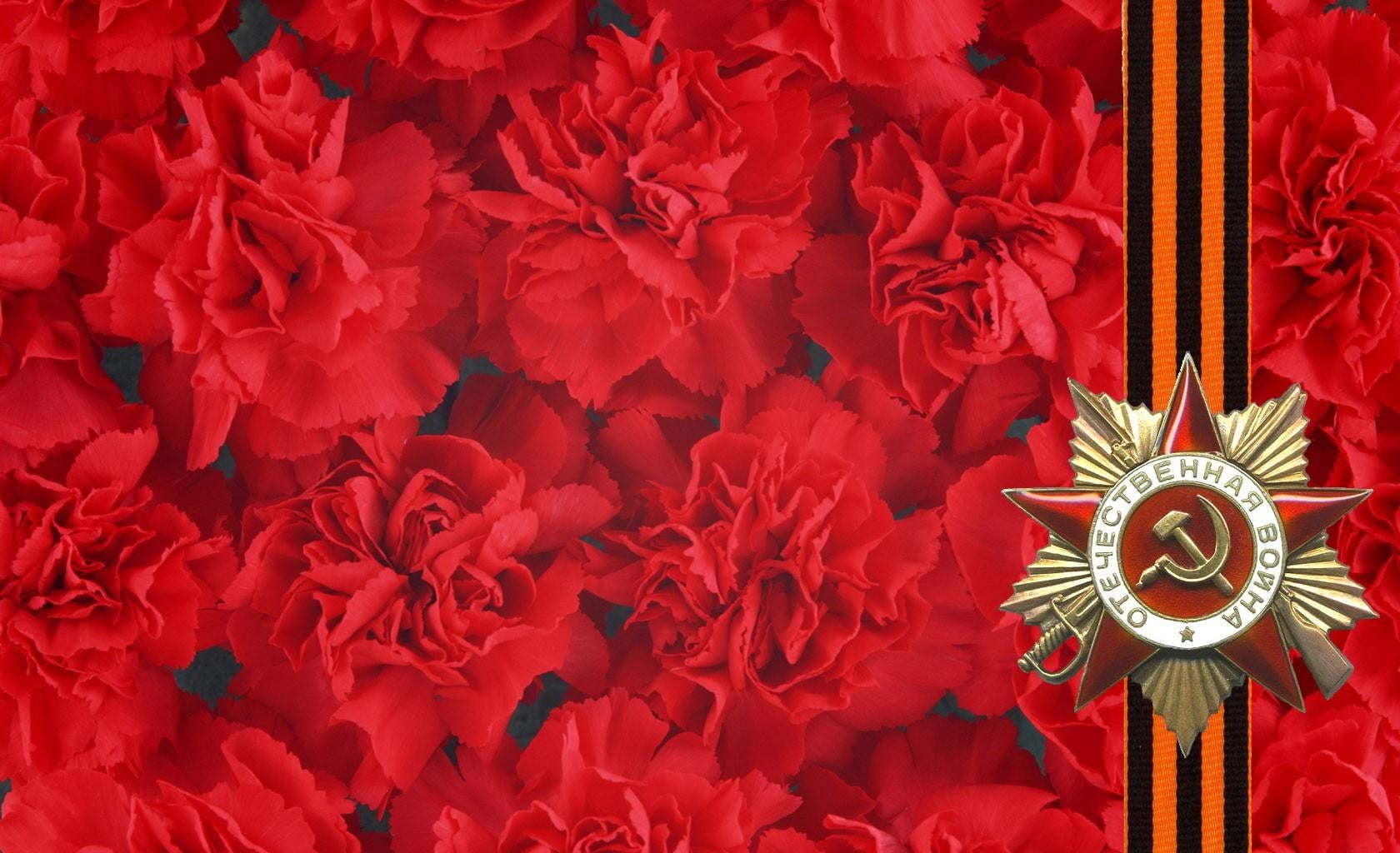 award, backgrounds, close-up, beauty in nature, flowers, cultures, star, may 9, petal, illustration, memory, victory, festival, full frame, holiday, no People, HD Wallpaper