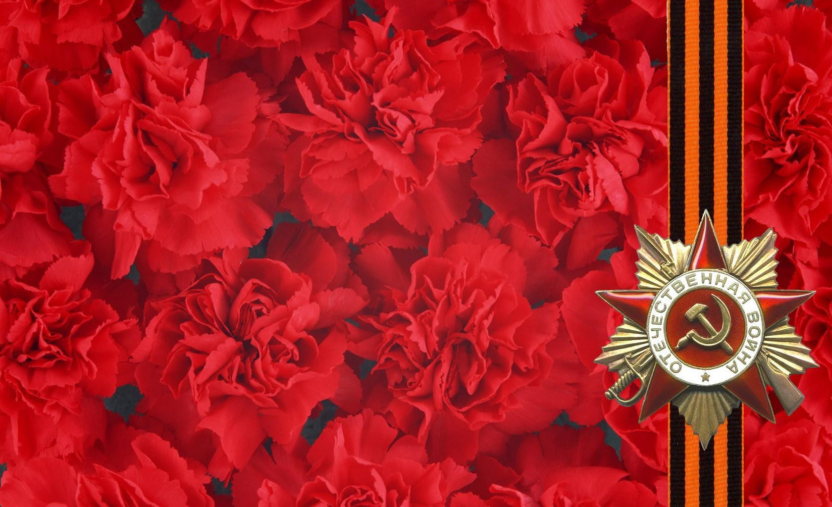 red, memory, 720P, ribbon, st, george, may 9, victory, may, bunch, st george ribbon, flowers, holiday, cloves, star, HD Wallpaper