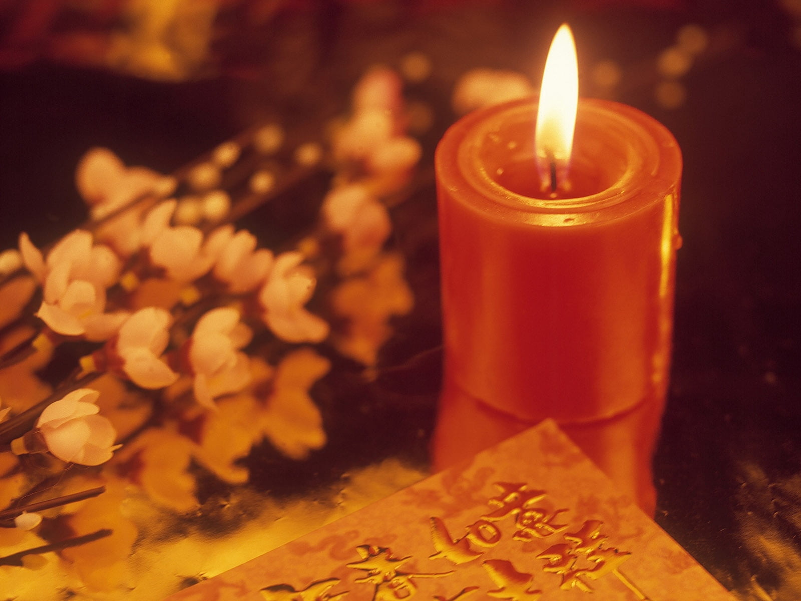 fortune telling, candle, advent, illuminated, christmas, 720P, indoors, celebration, still life, red, new years eve, no people, religion, decoration, close-up, HD Wallpaper