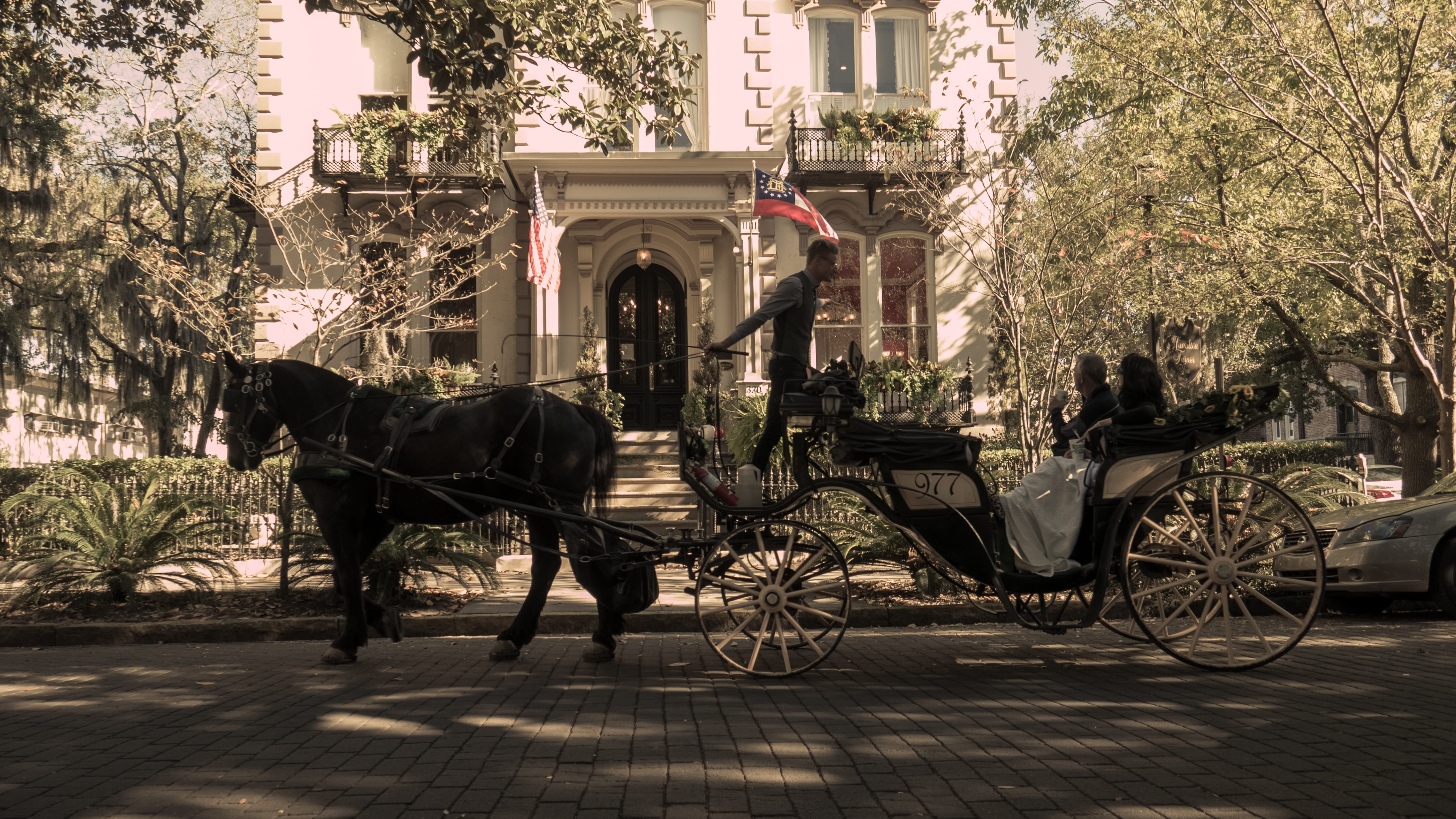 transportation, building, people, domestic, livestock, desaturated, vertebrate, horse, united states, horsedrawn, savannah, street, domestic animals, animal themes, HD Wallpaper