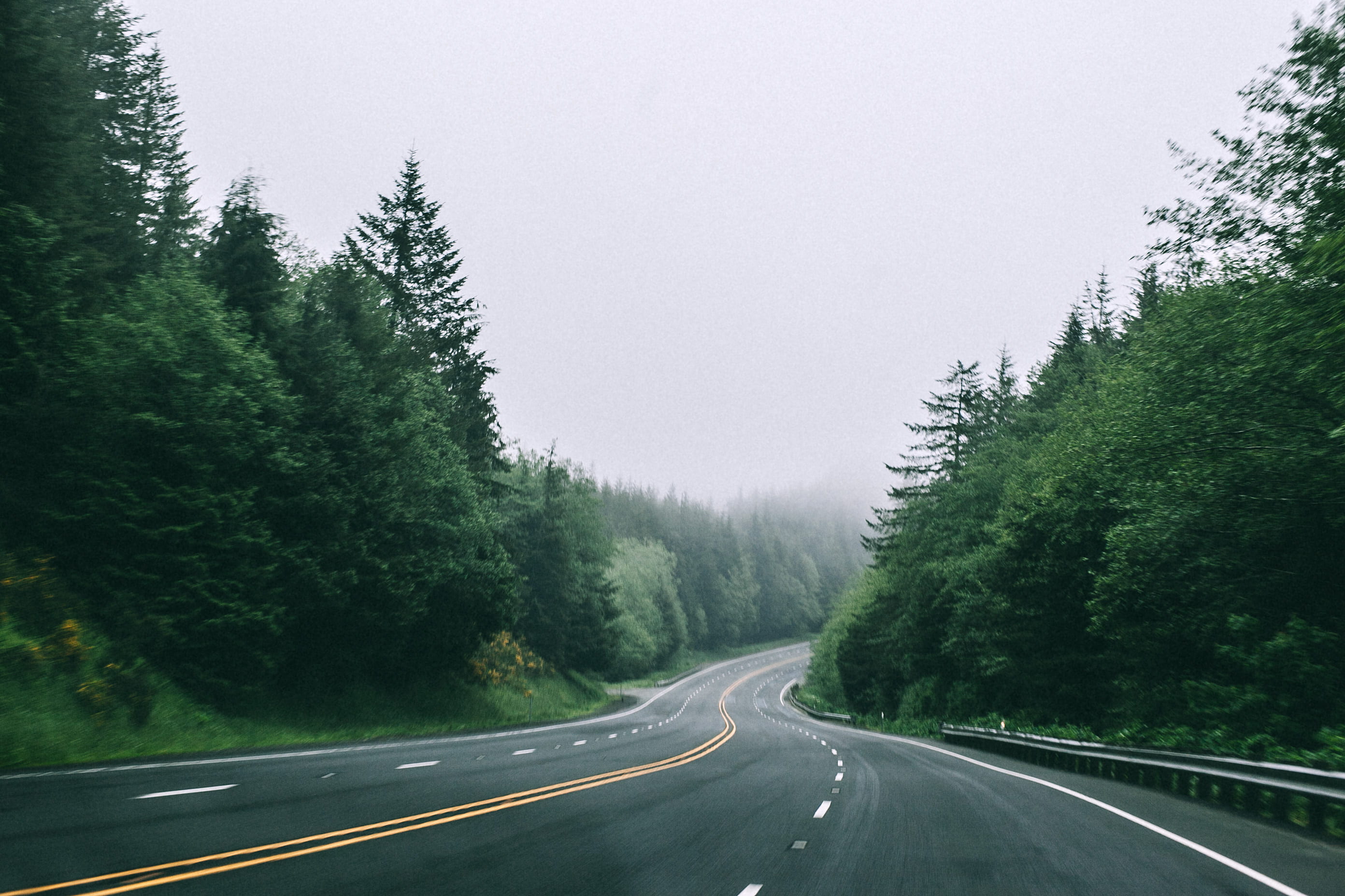 fog, land, sky, beauty in nature, plant, fade, tree, forest, pale, sign, road marking, diminishing perspective, marking, direction, yellow line, lines, HD Wallpaper