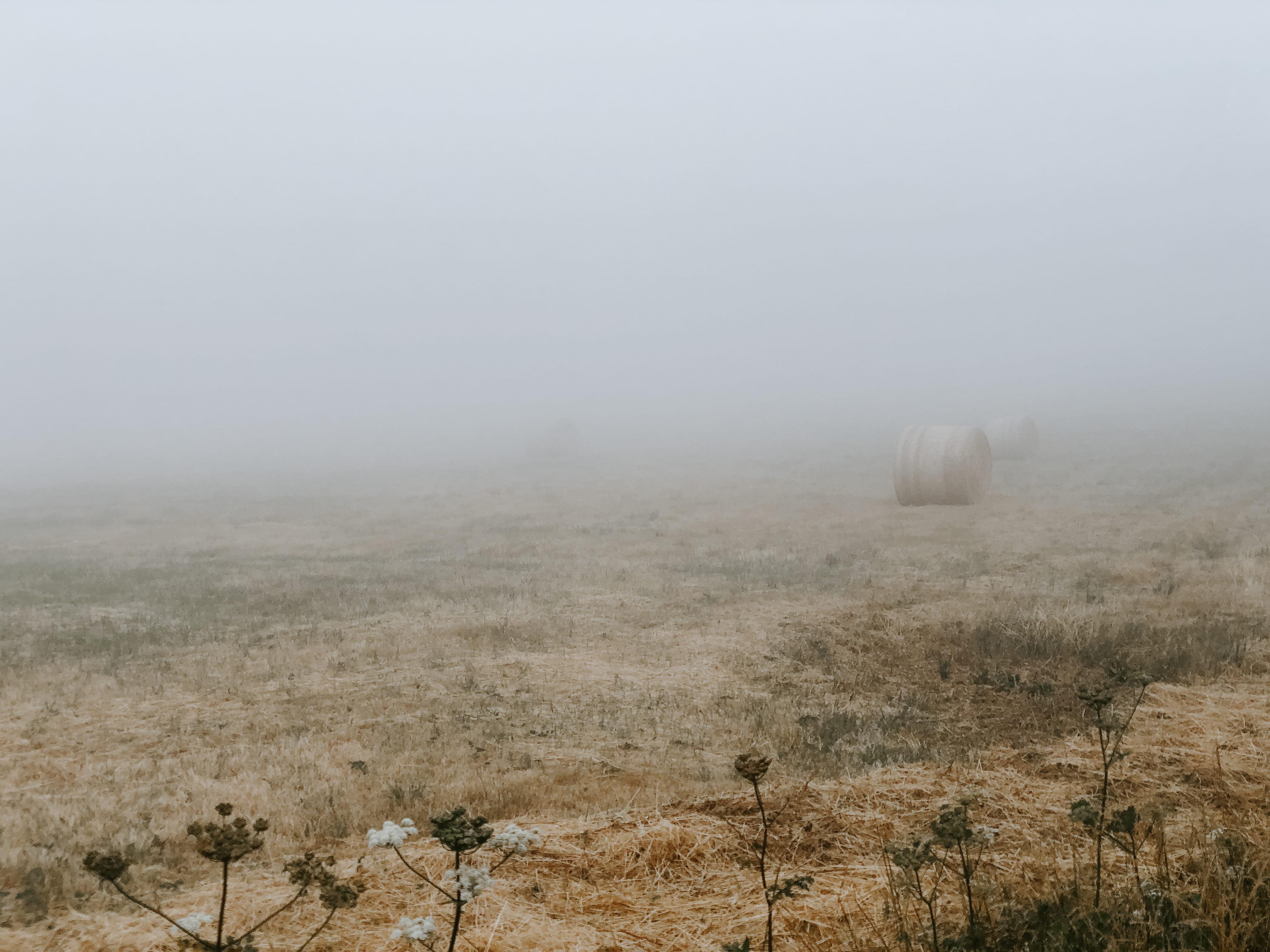 backgrounds, landscape, cloud, haze, spooky, fog, agriculture, haybay, no People, 4K, nature, outdoors, roll, tree, dark green, brown, hay, desaturated, HD Wallpaper