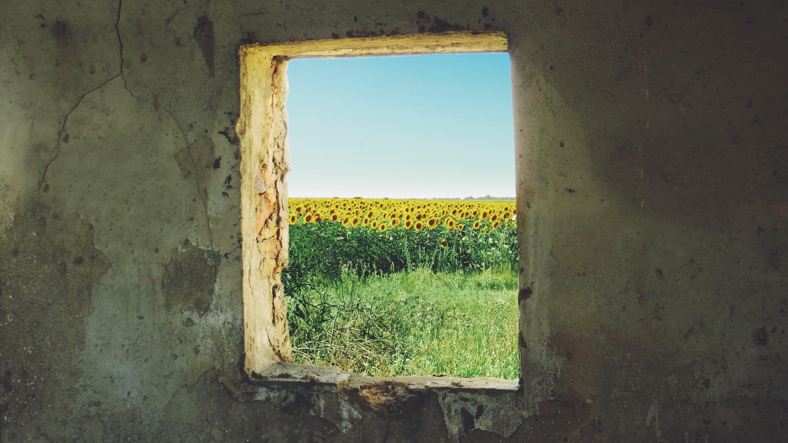 summer, architecture, rural Scene, no people, yellow, agriculture, igor yastrebov ihor hawks, ukraine, field, outdoors, 2K, concrete, sunlight, plant, HD Wallpaper