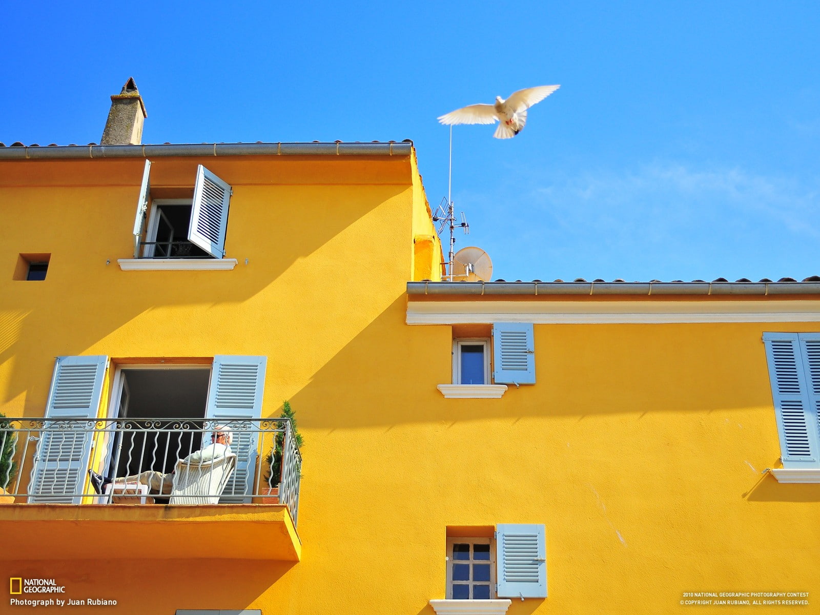 house, birds, yellow, architecture, window, balcony, no people, bird, built structure, 720P, building exterior, animal themes, residential district, cyan, HD Wallpaper