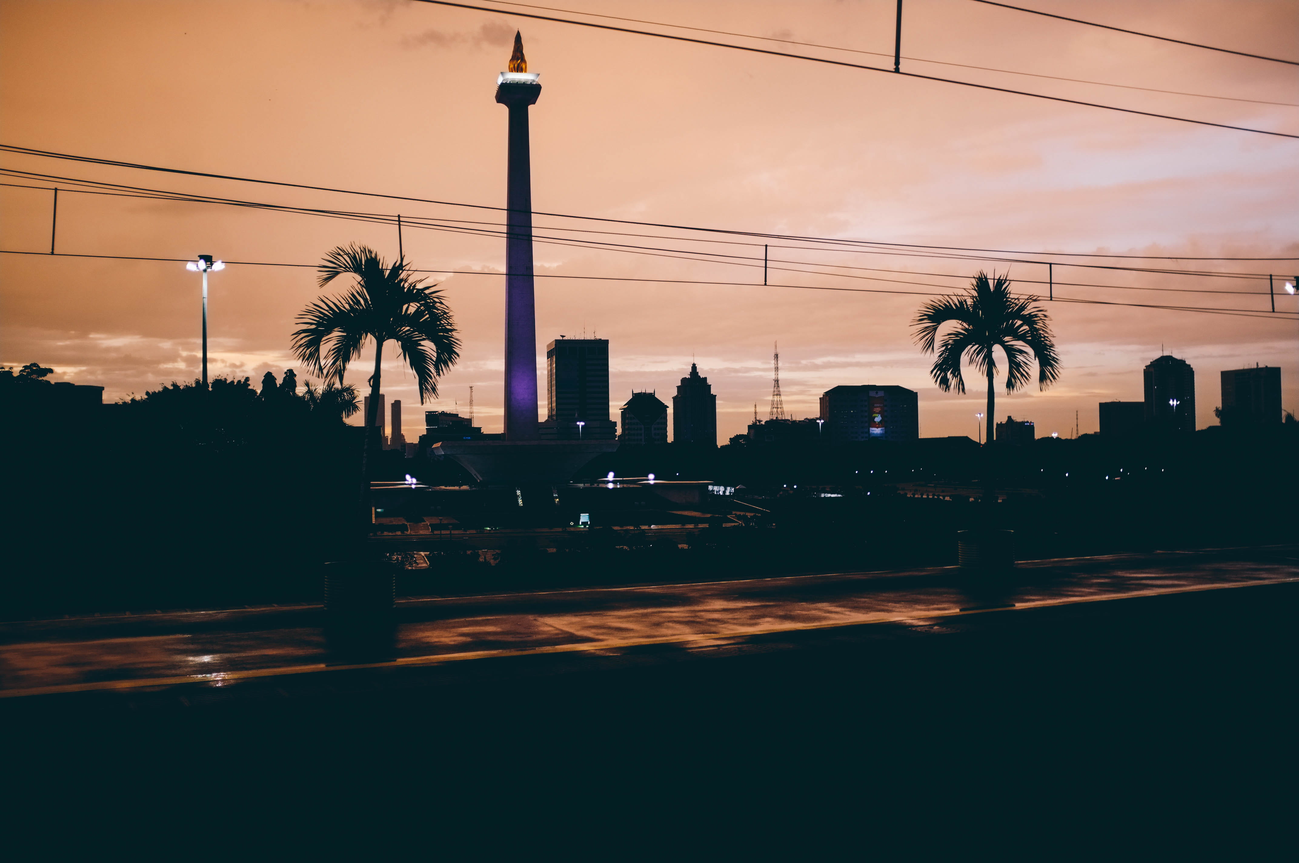 city, plant, outdoors, swimming pool, tropical climate, no people, tree, built structure, golden hour, sunshine, illuminated, city life, silhouette, electricity, HD Wallpaper