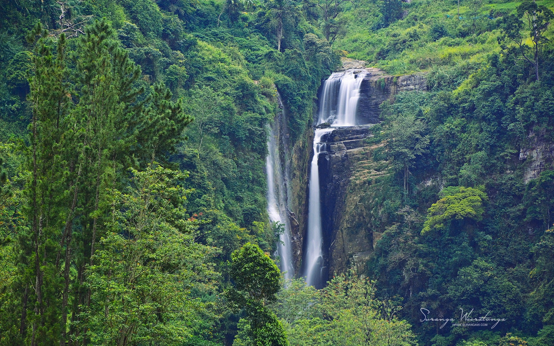 plant, growth, nature, falling water, motion, foliage, day, power in nature, waterfalls, environment, flowing, green color, flowing water, scenics - nature, HD Wallpaper