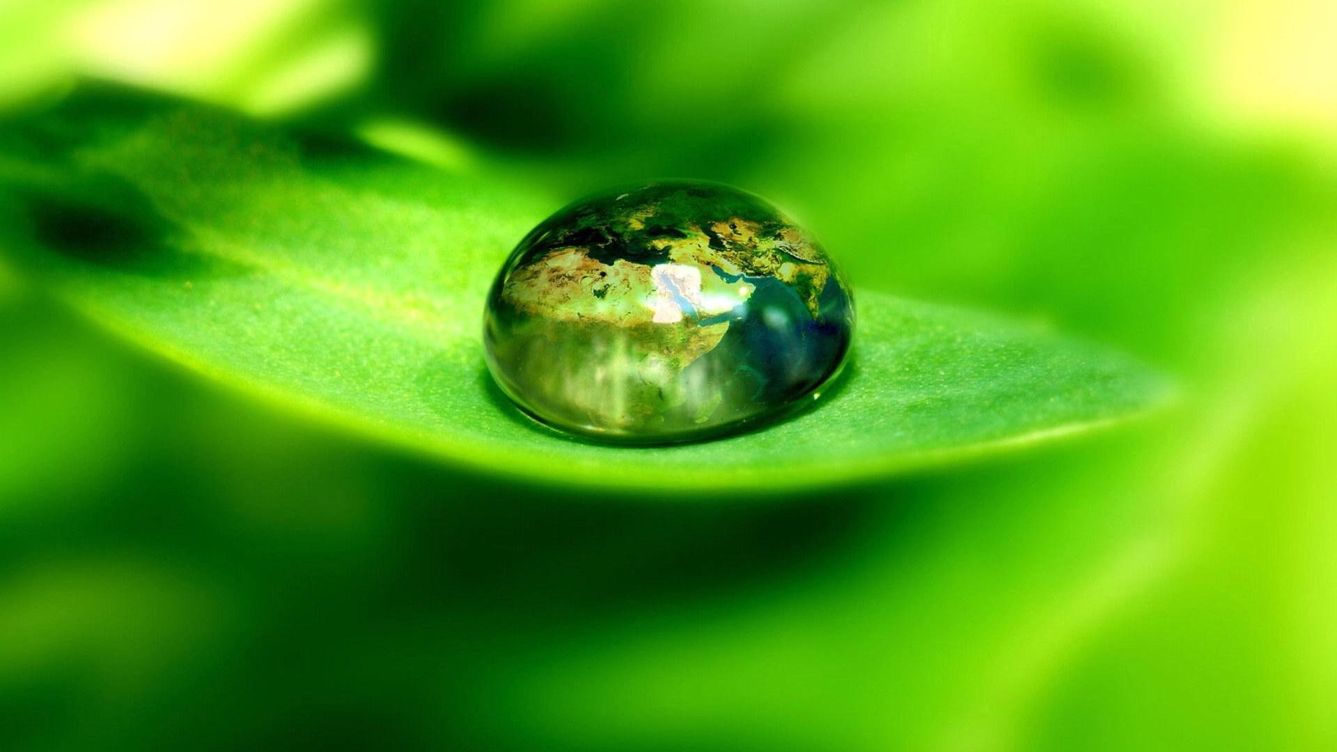  green color, fresh, jewelry, nature, shiny, selective focus, sphere, flowers, macro, theme, plants, water, drop, close-up, abstract, single object, HD Wallpaper