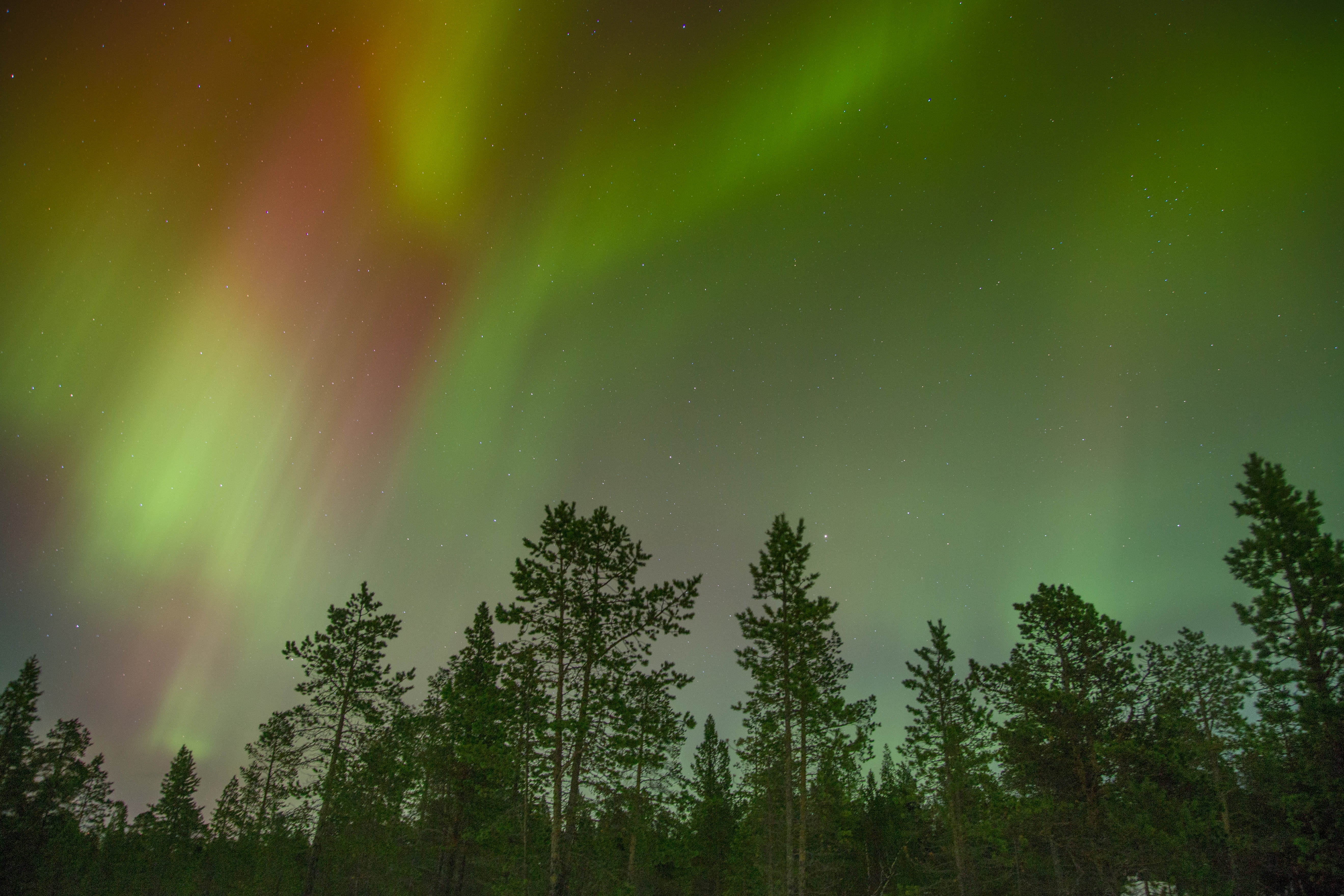 growth, winter, tranquility, scenics, silhouette, rainbow, lights, physics, north, scenic, northern lights, green color, 5K, outdoors, natural phenomenon, HD Wallpaper