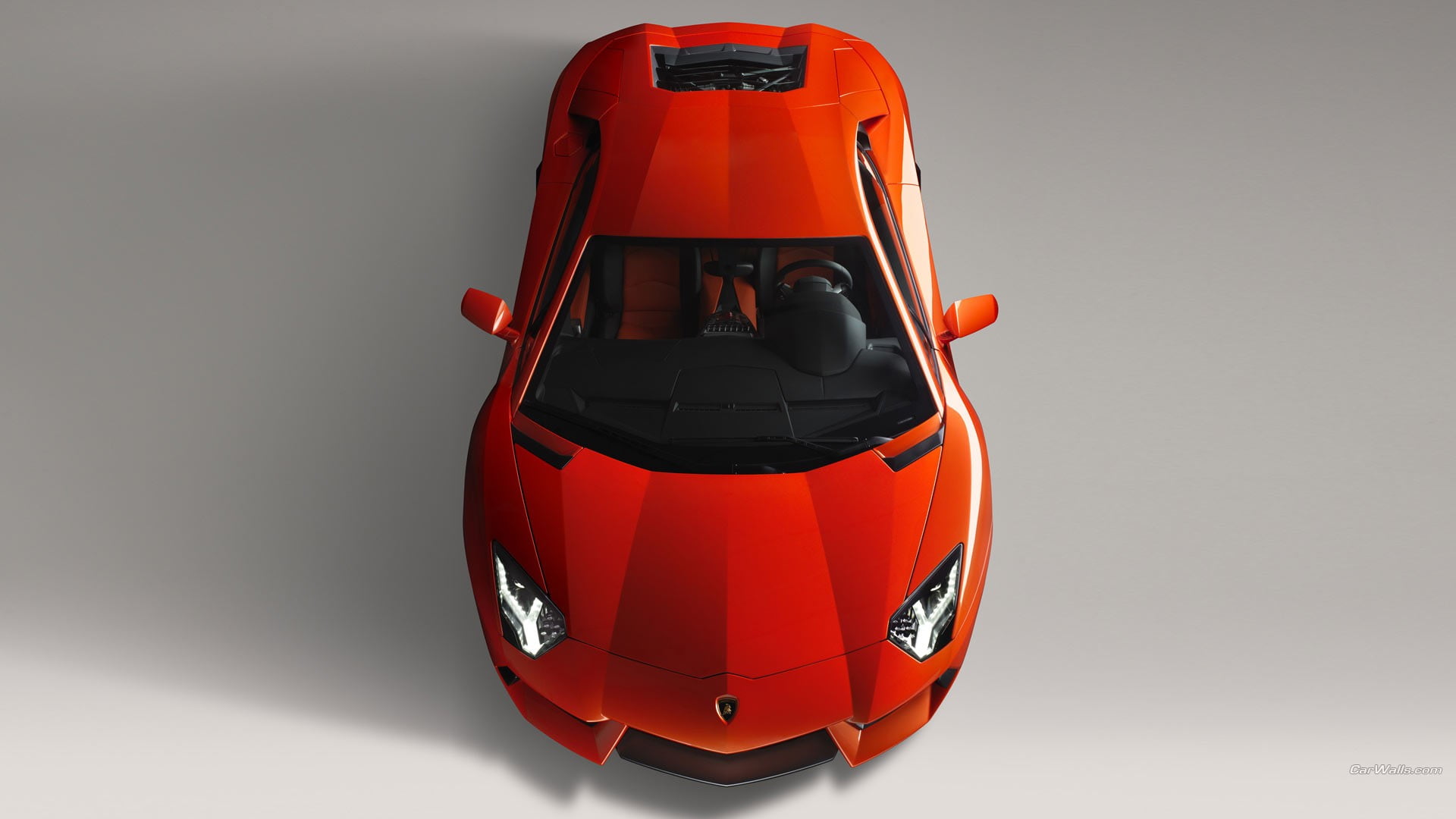 protection, coupe, security, front view, studio shot, indoors, people, transportation, occupation, orange color, Lamborghini Aventador, sports race, sports, HD Wallpaper