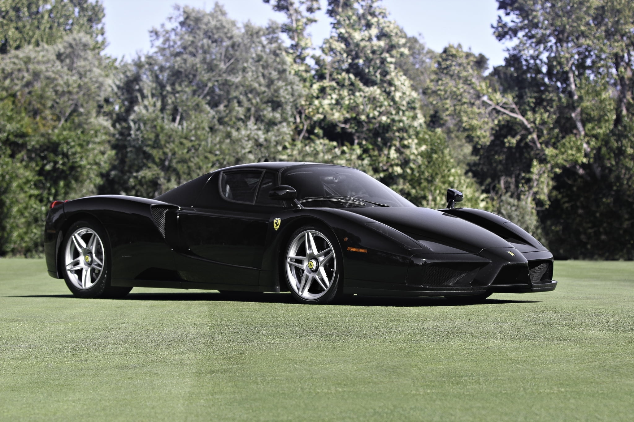 no people, sports Car, field, nature, elegance, land, plant, shiny, coupe, modern, supercar, green color, land Vehicle, 1080P, growth, tree, speed, engine, HD Wallpaper