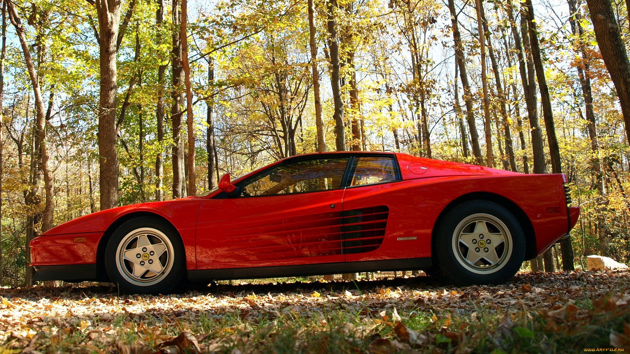 red, 512, ferrari, leaves, testarossa, supercar, 1080P, HD Wallpaper