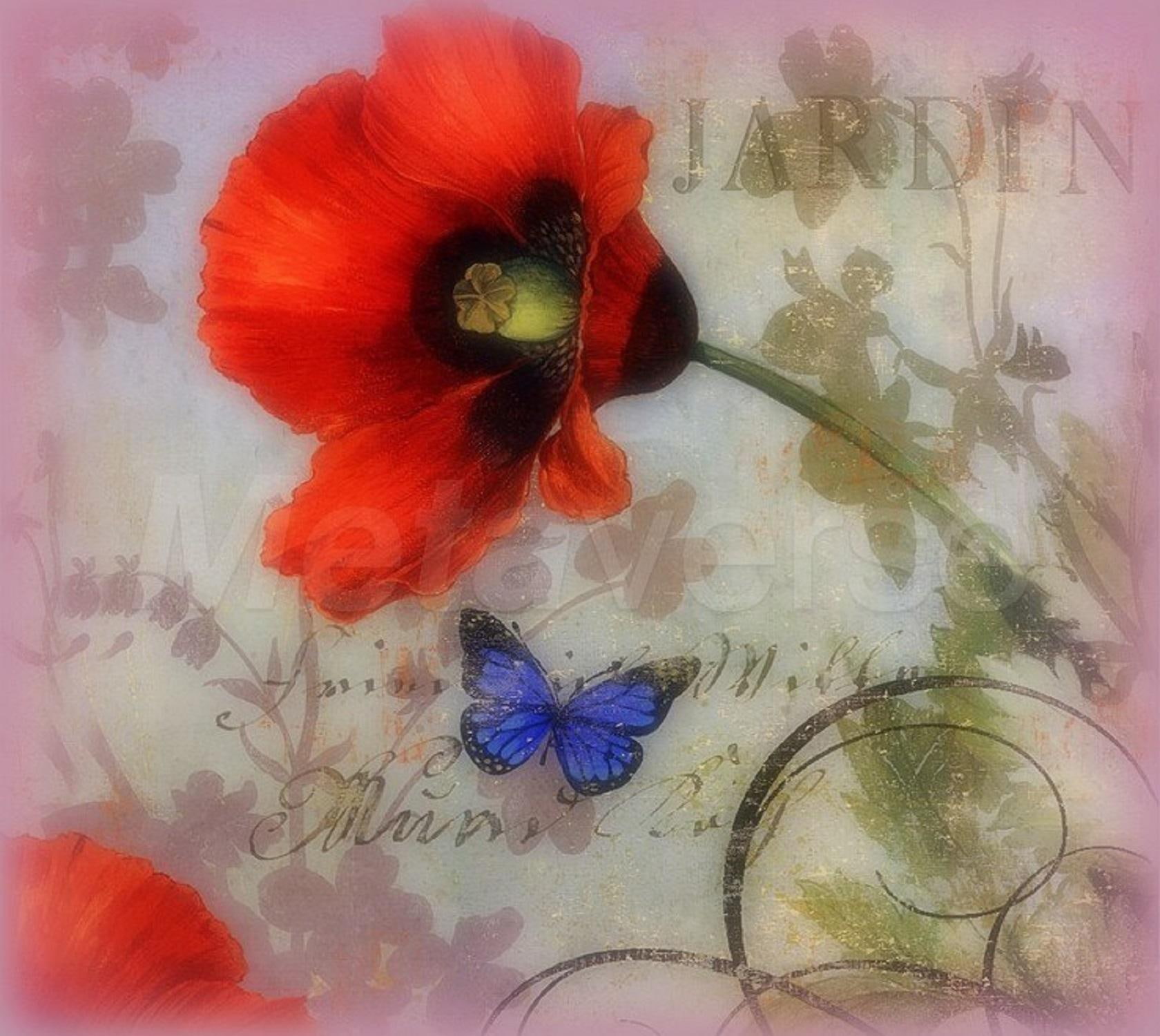 digital-art, creativ, pretty, colors, jardin, plants, poppies, 720P, jardin-poppies, flowers, garde, lovely, butterfly-in-the-garden, HD Wallpaper