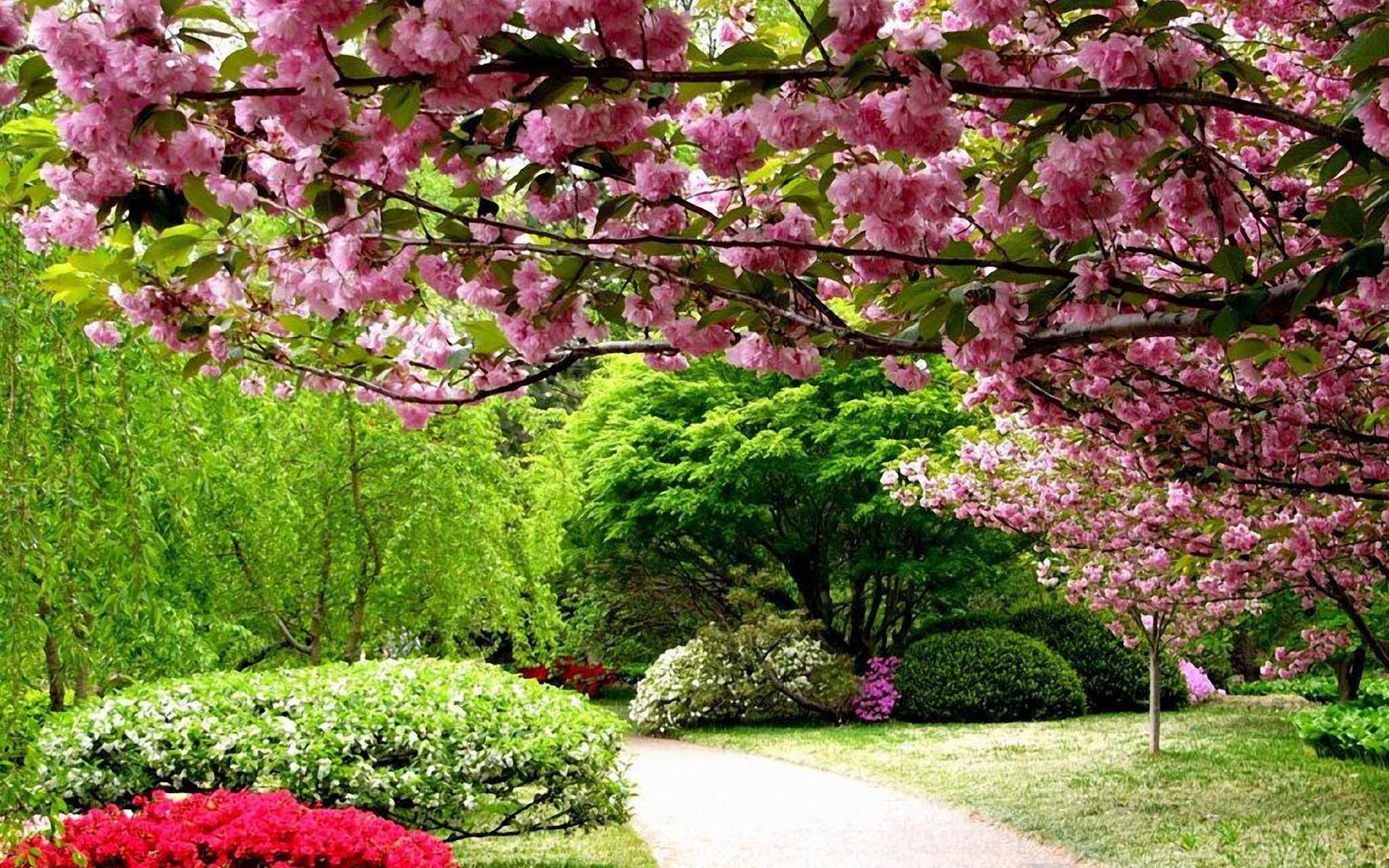 spring, trail, leafs, trees, colours, gardens, garde, lush, pathway, beautiful, 1080P, leaves, brown, majestic, flowers, HD Wallpaper
