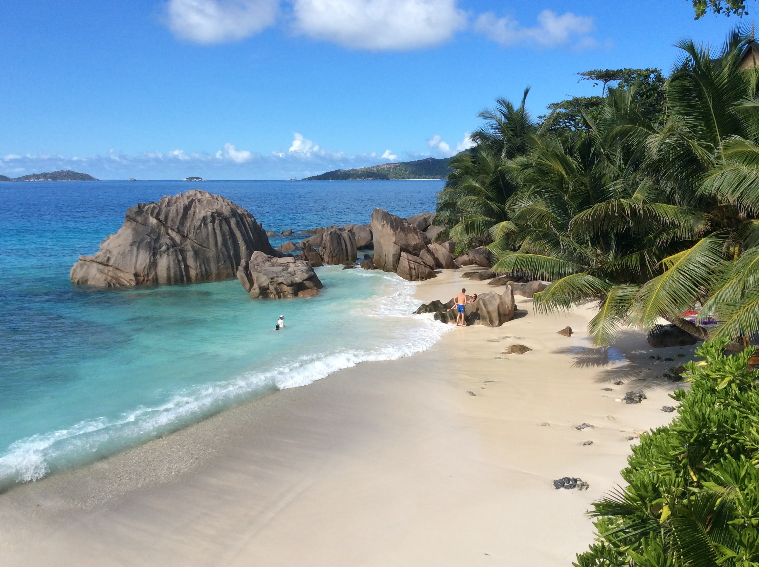 indian, palm Tree, nature, beauty in nature, no people, sea, paradise, scenics - nature, la digue, bay, near, tranquil scene, blue, island, tropical, sand, HD Wallpaper