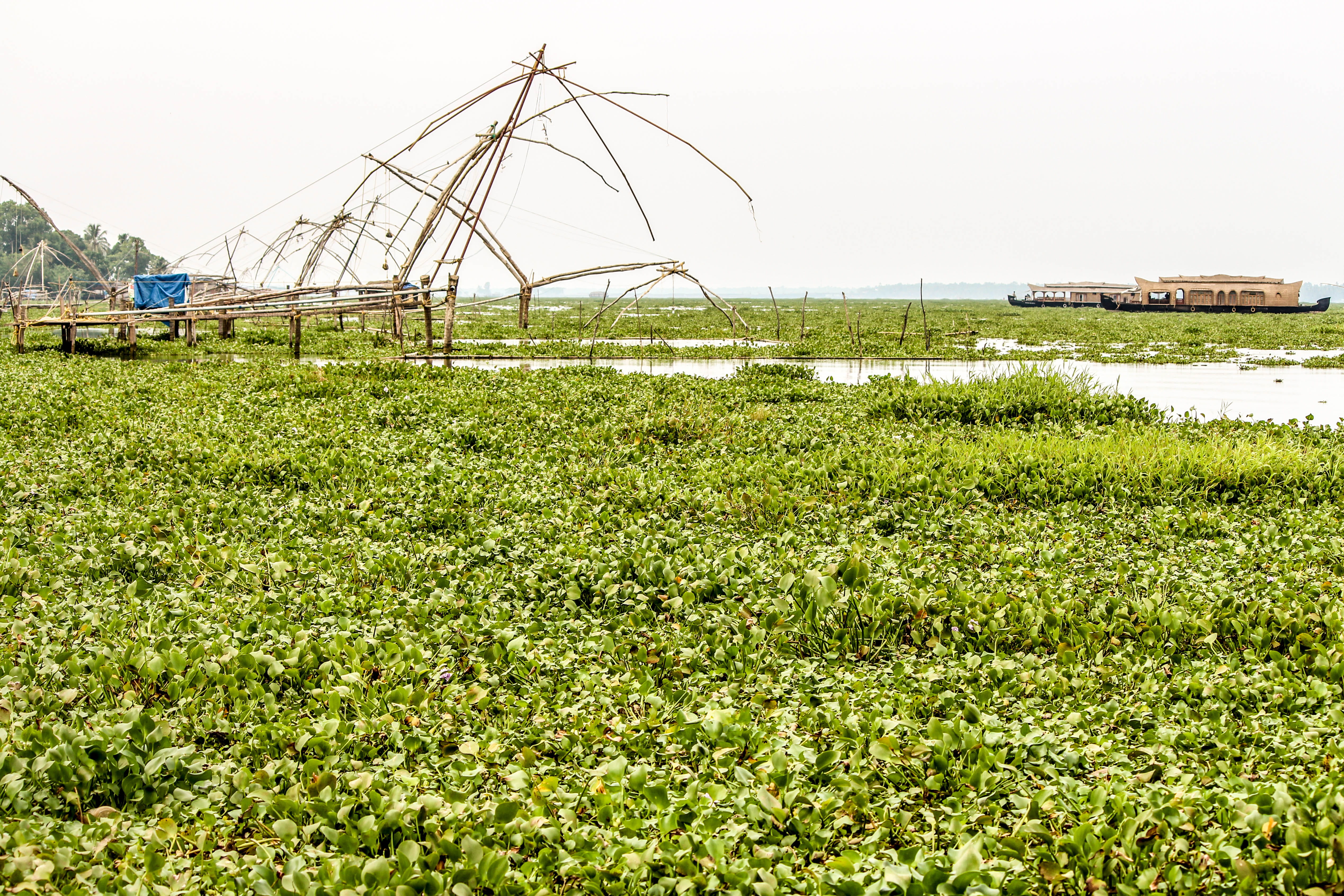 fishing, lifestyle, nets, kerala, grass, industry, green color, growth, architecture, day, land, green, transportation, machinery, outdoors, culture, no people, HD Wallpaper