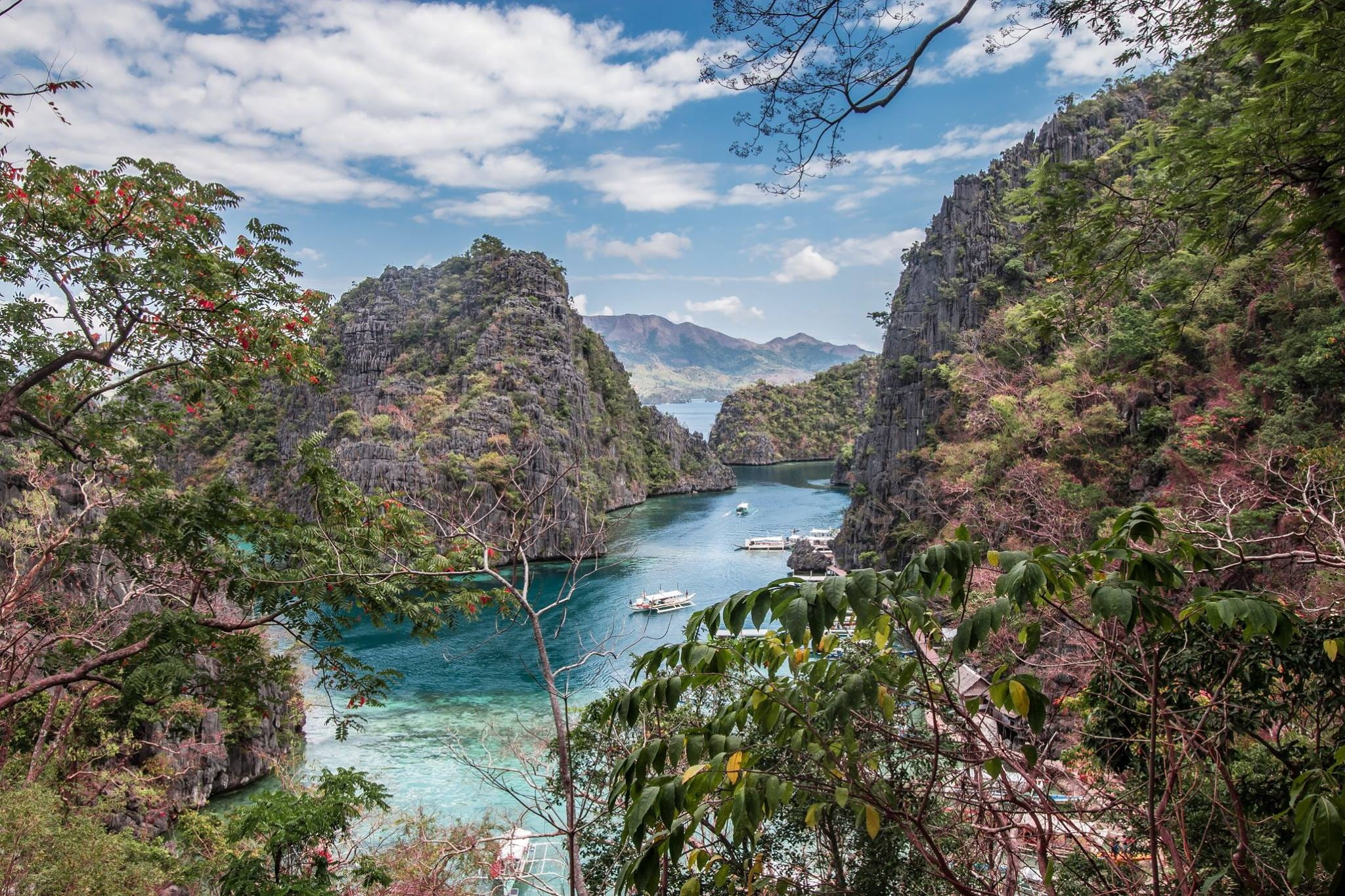 plant, coastline, mountain, scenic, water, sun, coron, tranquility, lake, paradise, seascape, cloud - sky, scenics - nature, growth, outdoors, tourism, HD Wallpaper