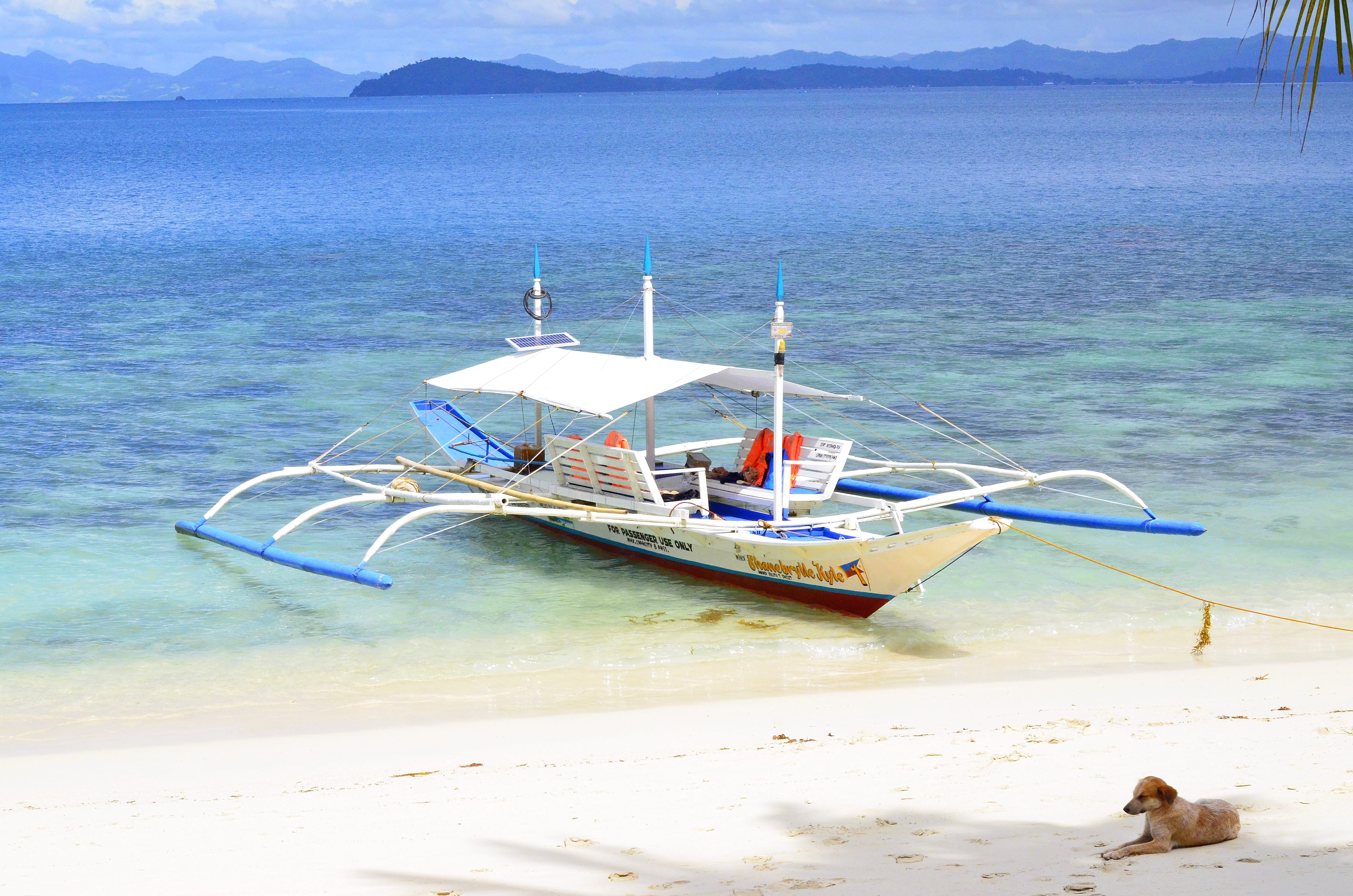 mode of transportation, philippines, 4K, sand, island, port barton, day, tropical, mountain, moored, beauty in nature, tranquility, land, water, pet, sea, HD Wallpaper