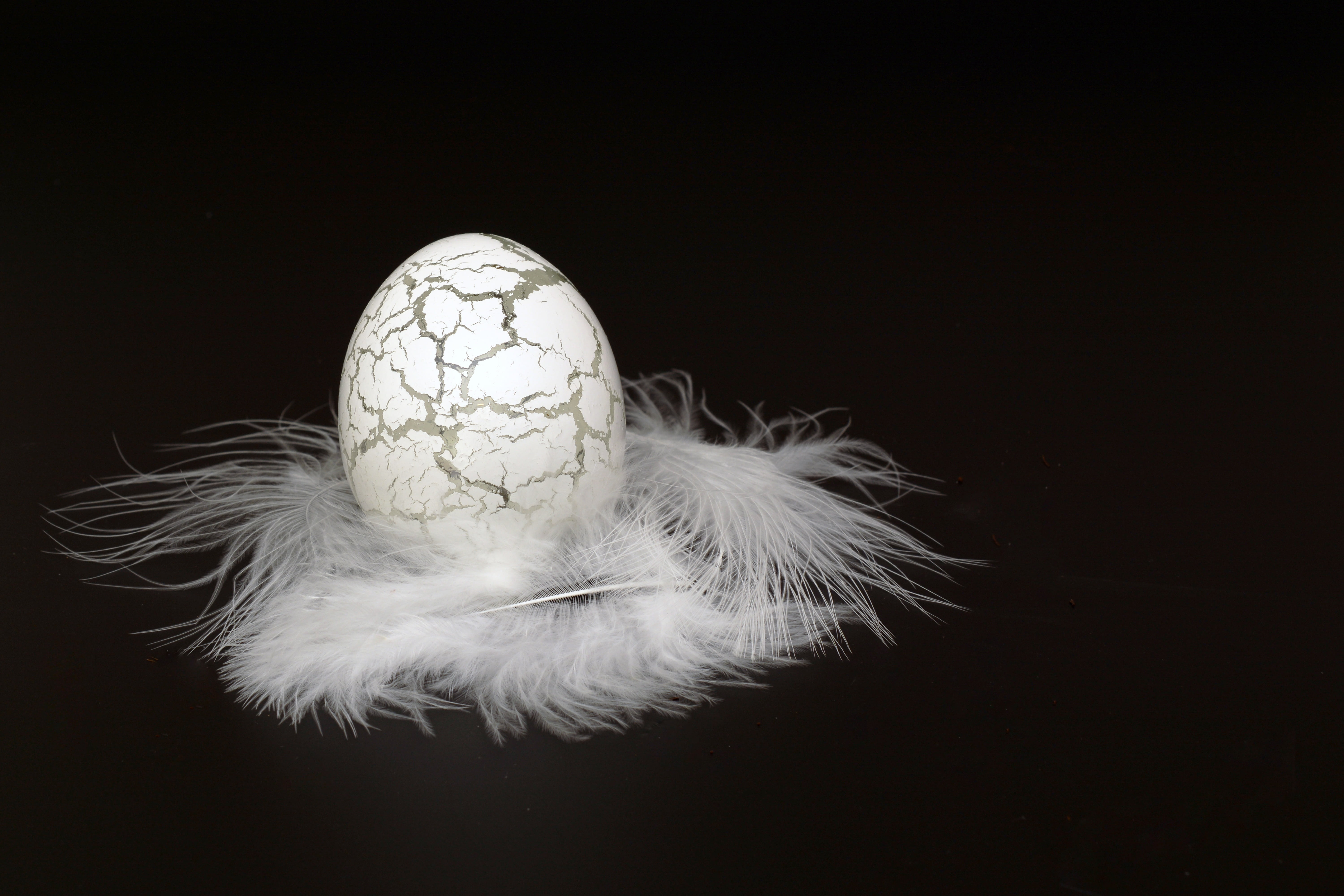 elegant, copy space, noble, no people, body part, close-up, horror, decor, studio shot, fear, angel, 5K, easter decorations, easter greetings, halloween, HD Wallpaper