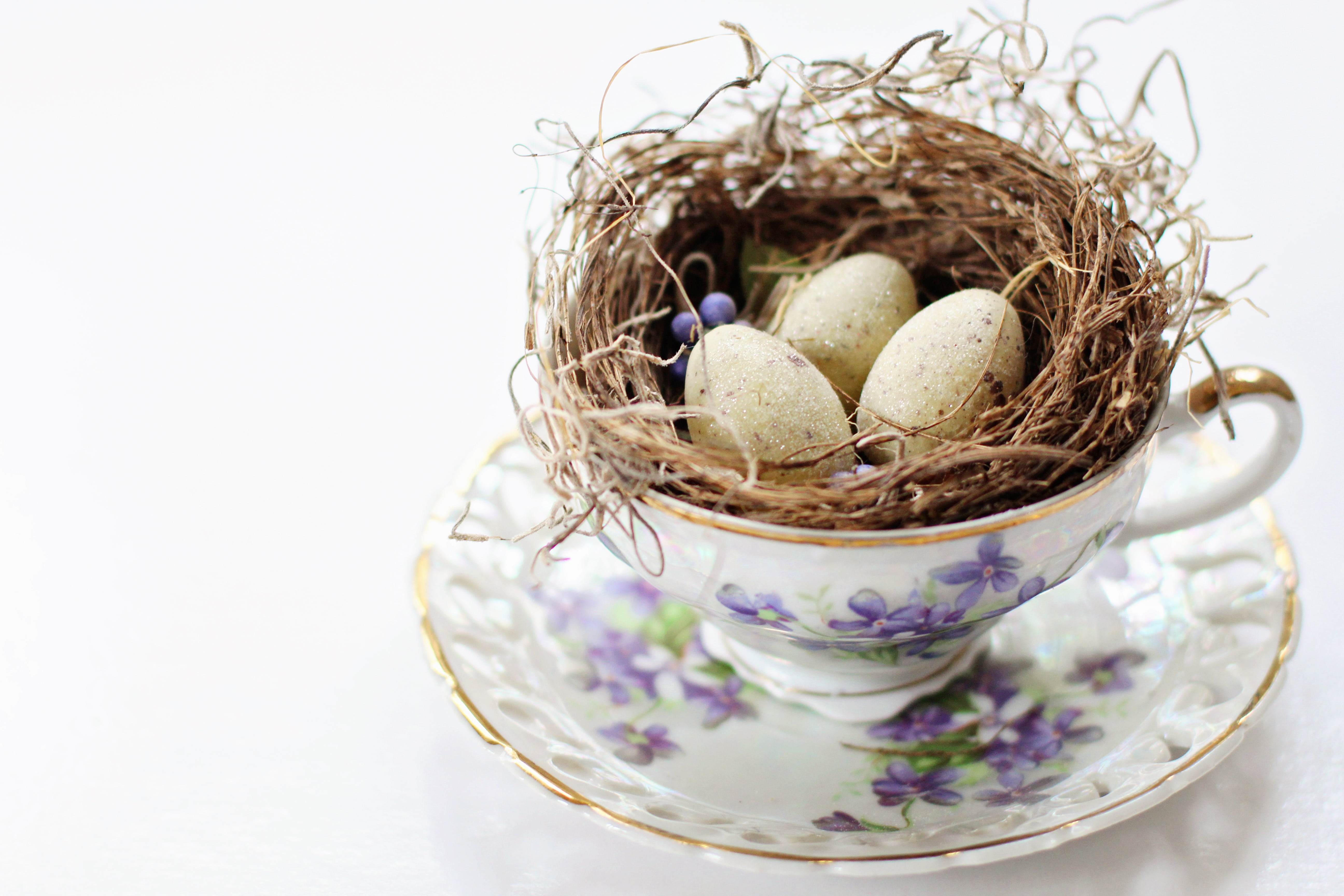 5K, no people, season, floral pattern, teacup, nature, tea cup, animal egg, outdoor, nest, decoration, plant, moss, rustic, celebration, food and drink, HD Wallpaper