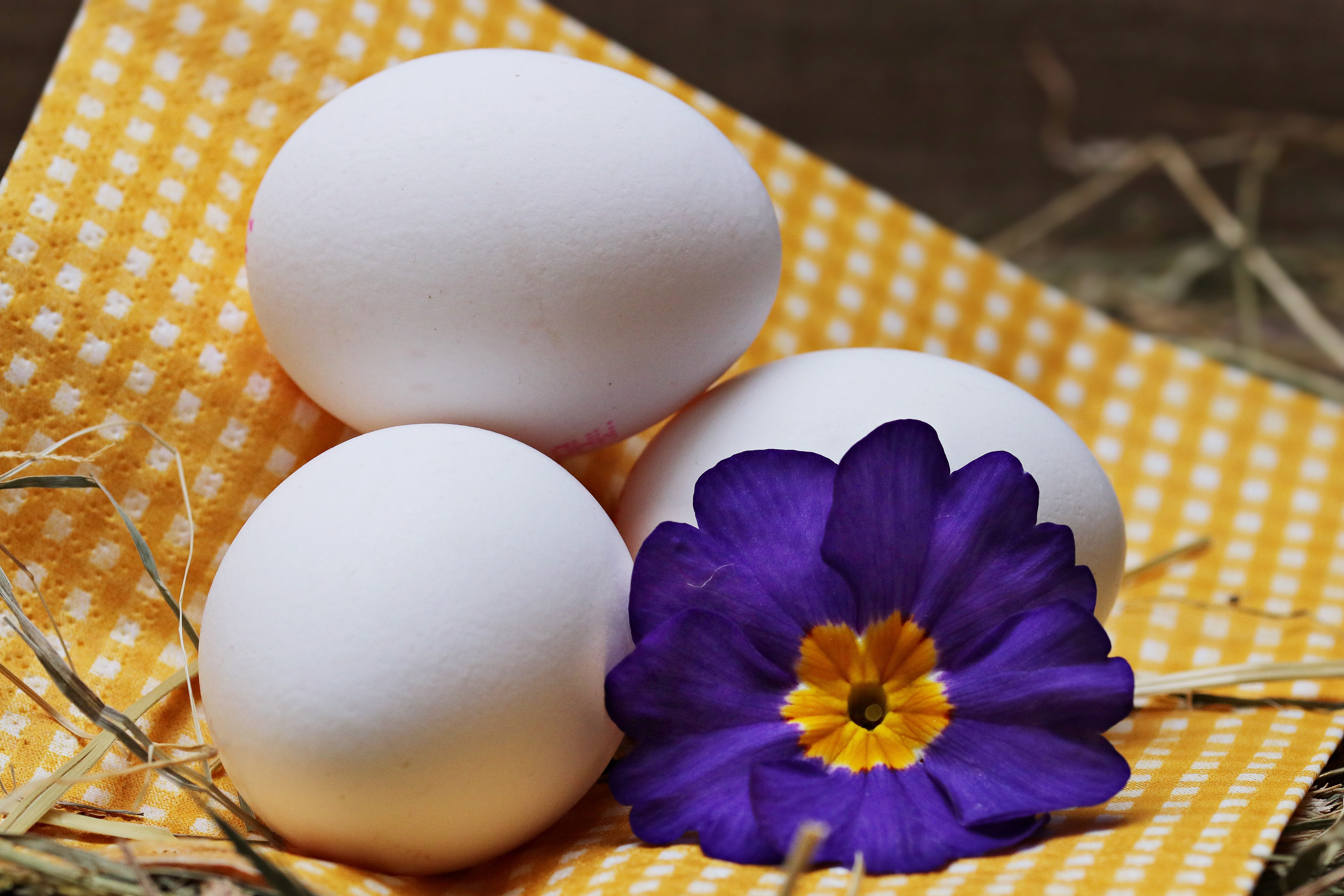 5K, springtime, beauty in nature, white eggs, blossom, close-up, purple, easter egg, blue, chicken product, yellow, hay, food, freshness, eggs, three, HD Wallpaper