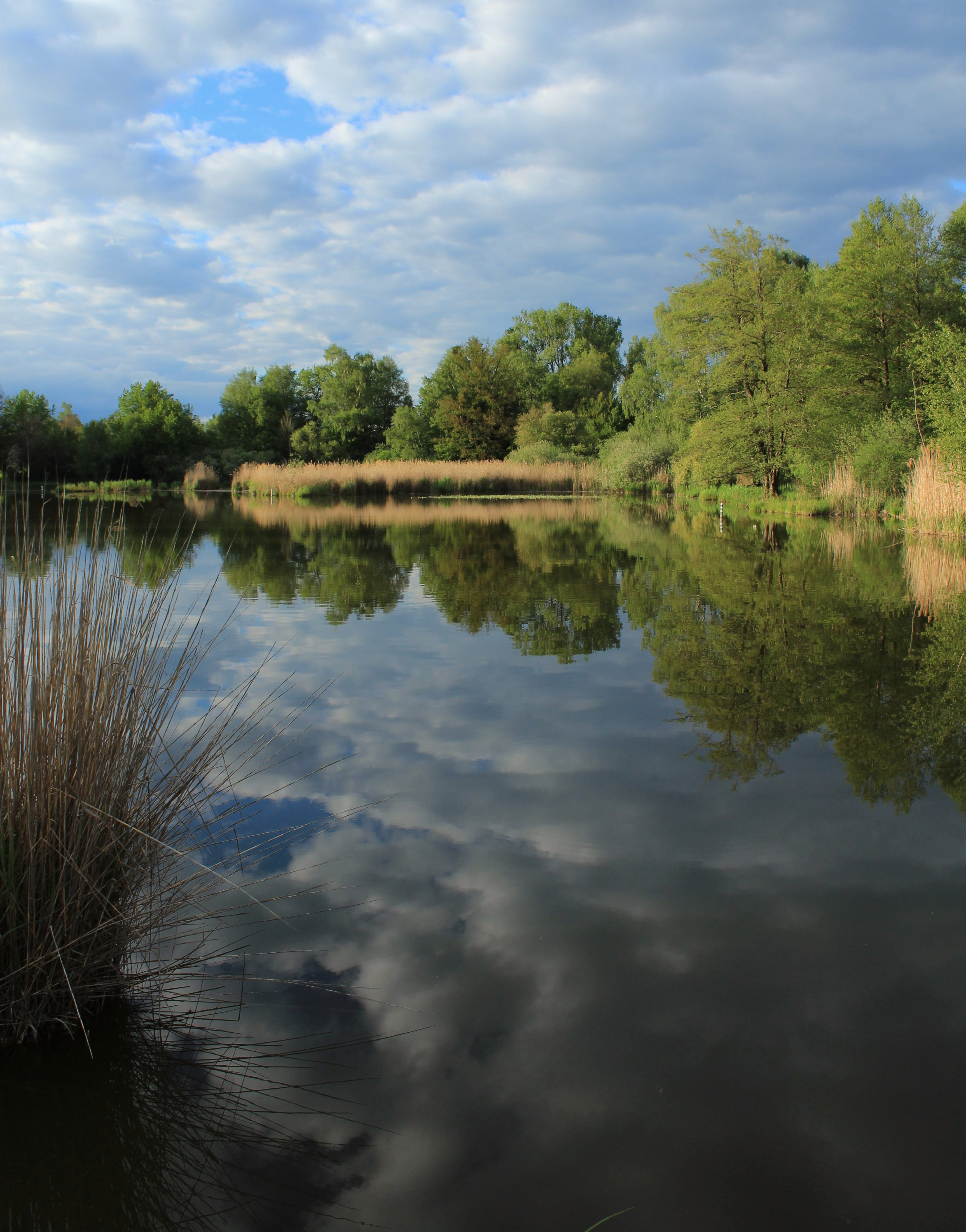symmetry, scenics - nature, water, unedited, reflection, nature, lake, cloud - sky, beauty in nature, tranquility, sky, growth, switzerland, landscape, Phone HD Wallpaper