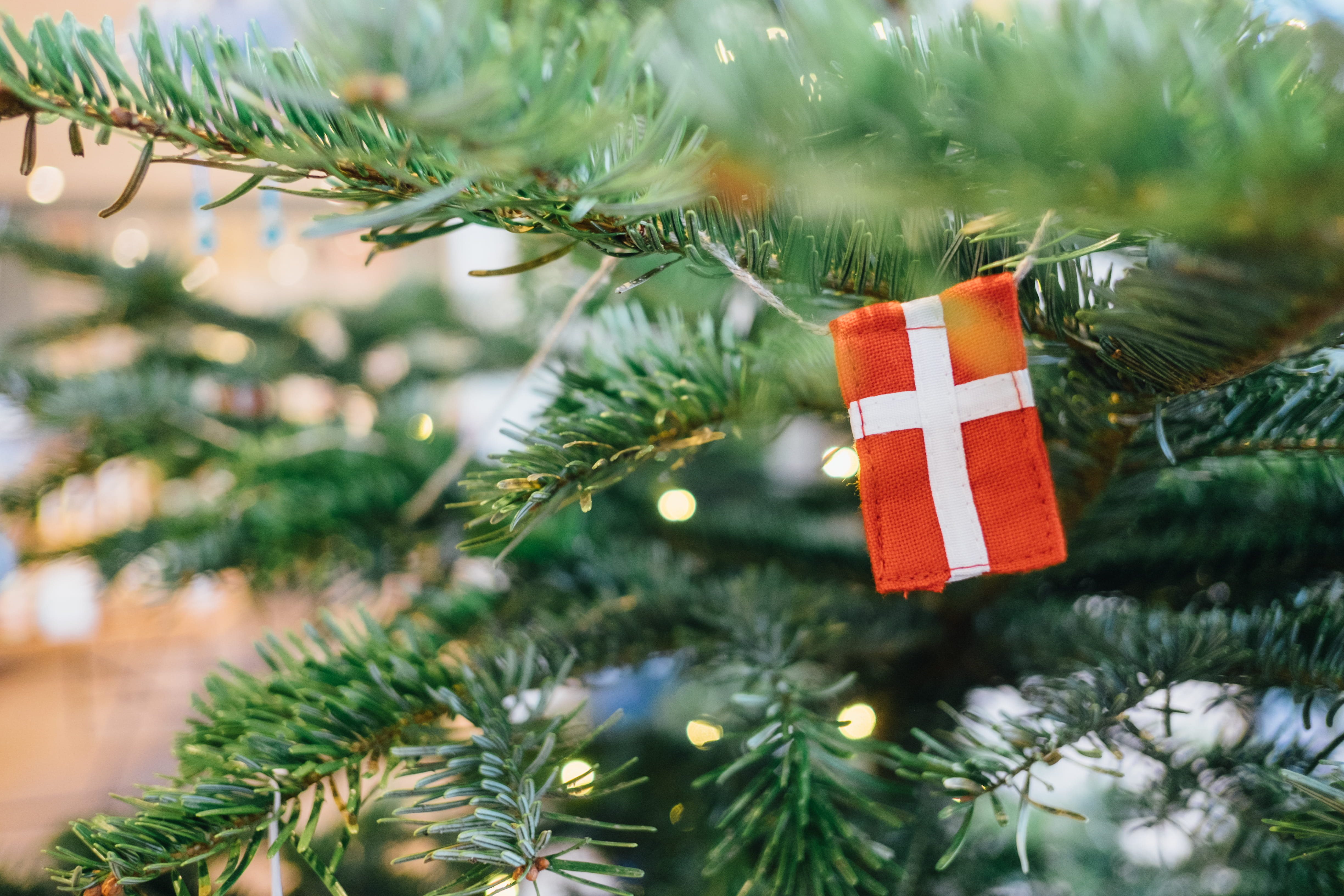 holiday - event, christmas tree, hanging, selective focus, event, danish, green color, winter, nature, stilleben, plant, close-up, flag, copenhagen, HD Wallpaper