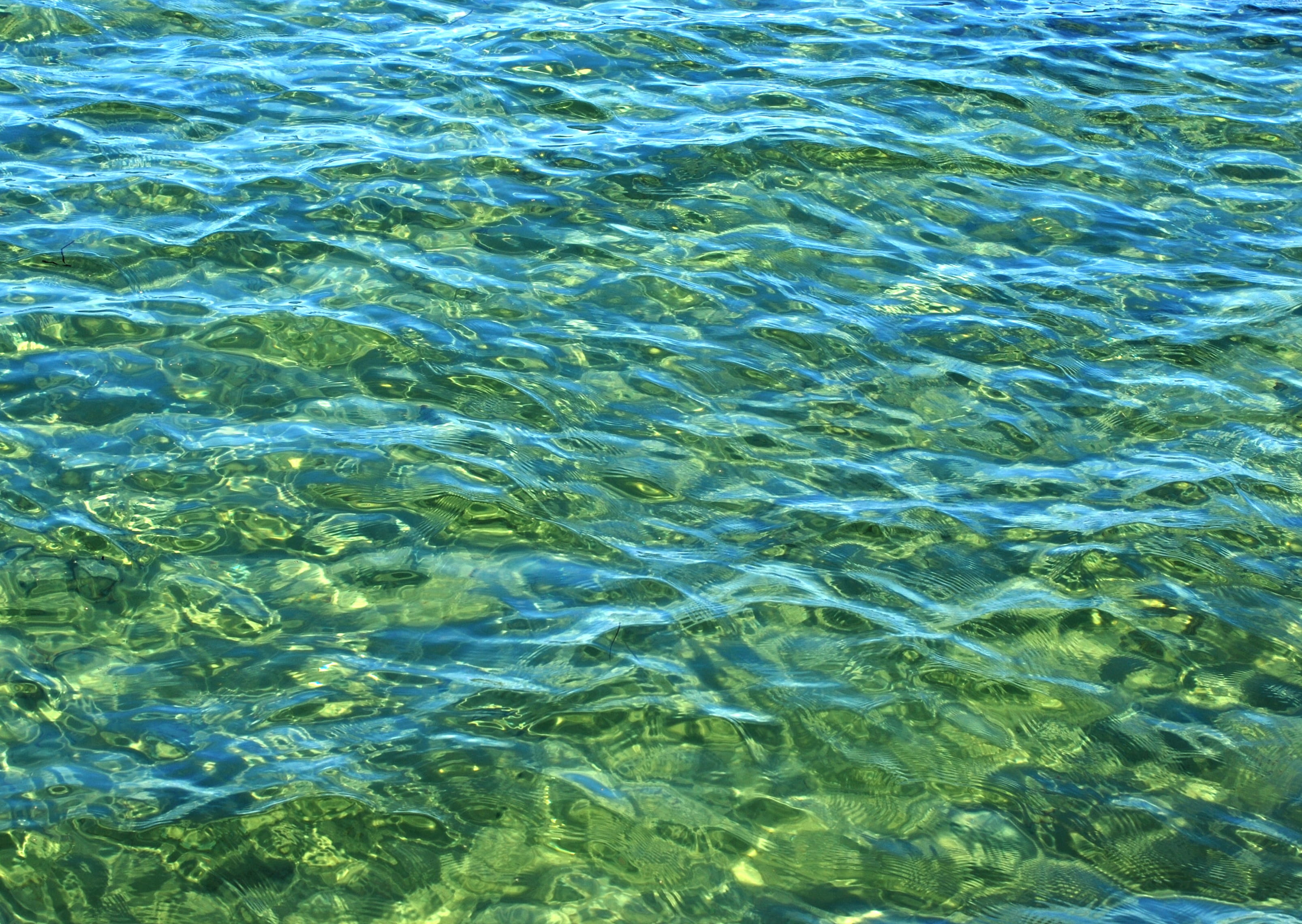 rippled, nature, no people, sunlight, full frame, shallow, water, day, green color, high angle view, swimming pool, 2K, nofilter, marine, natural pattern, HD Wallpaper
