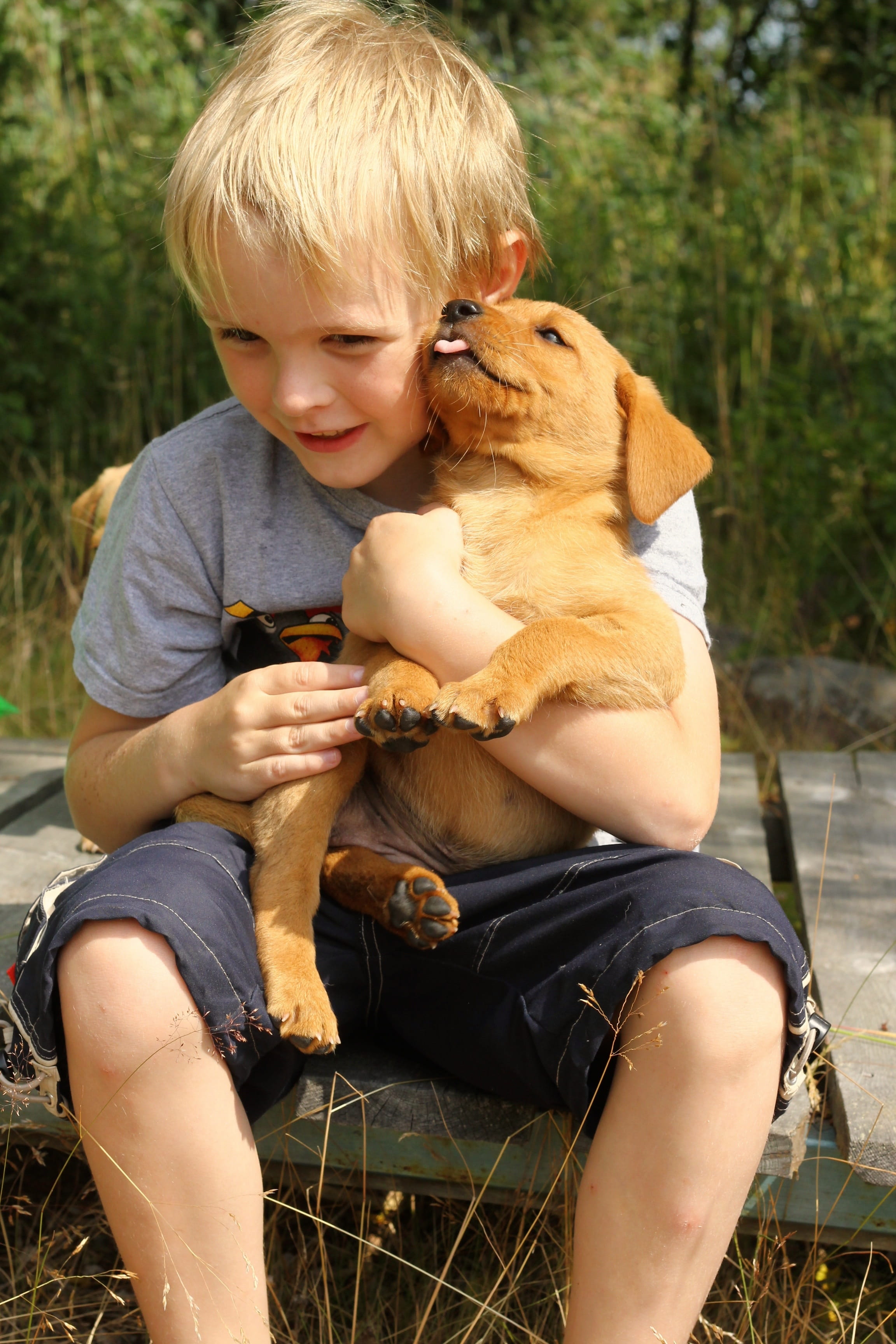 child hugs dog, mammal, vertebrate, cute, domestic animals, fun, children, cheerful, animal, Hugs, Child, pets, innocence, blond hair, animal themes, Dog, Phone HD Wallpaper