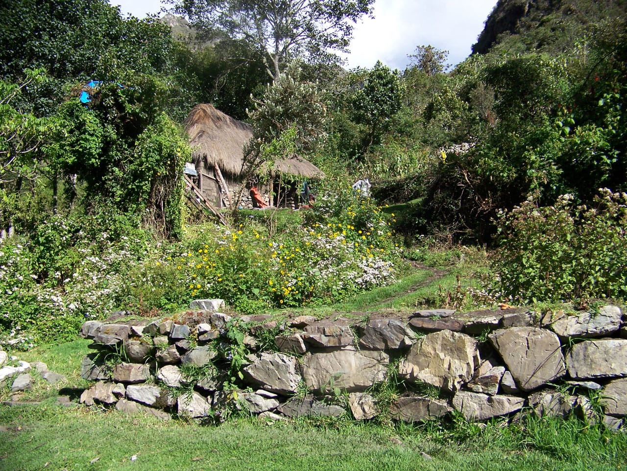 Thatched, nature, rock, non-urban scene, Greenery, rocks, no people, Hut, sky, Forest, day, beauty in nature, Jungle, grass, growth, rock - object, green color, HD Wallpaper