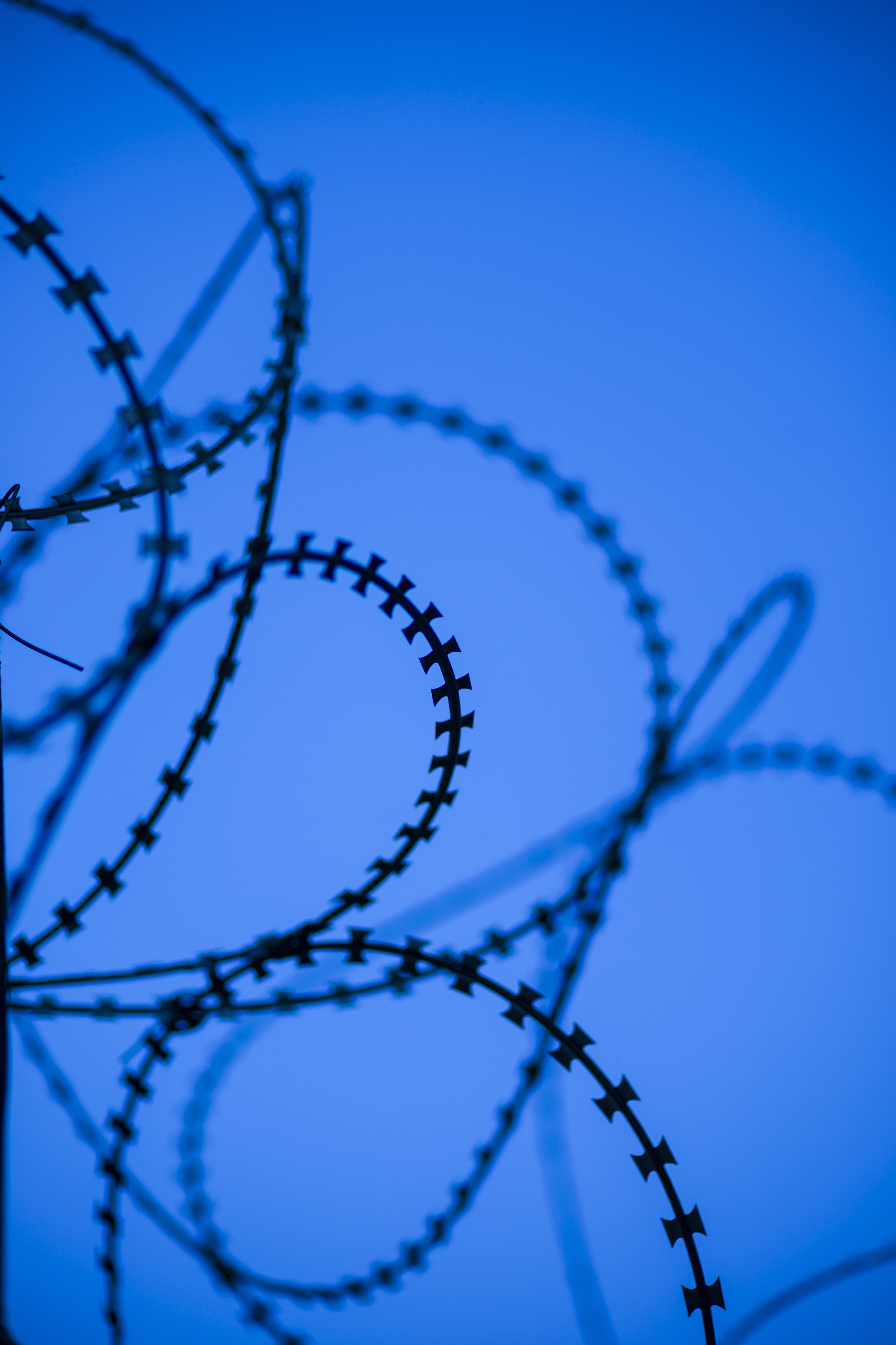 nobody, 5K, colored background, barbed Wire, fence, communication, background, prison, vivid color, wire mesh, focus on foreground, copy space, razor wire, Phone HD Wallpaper
