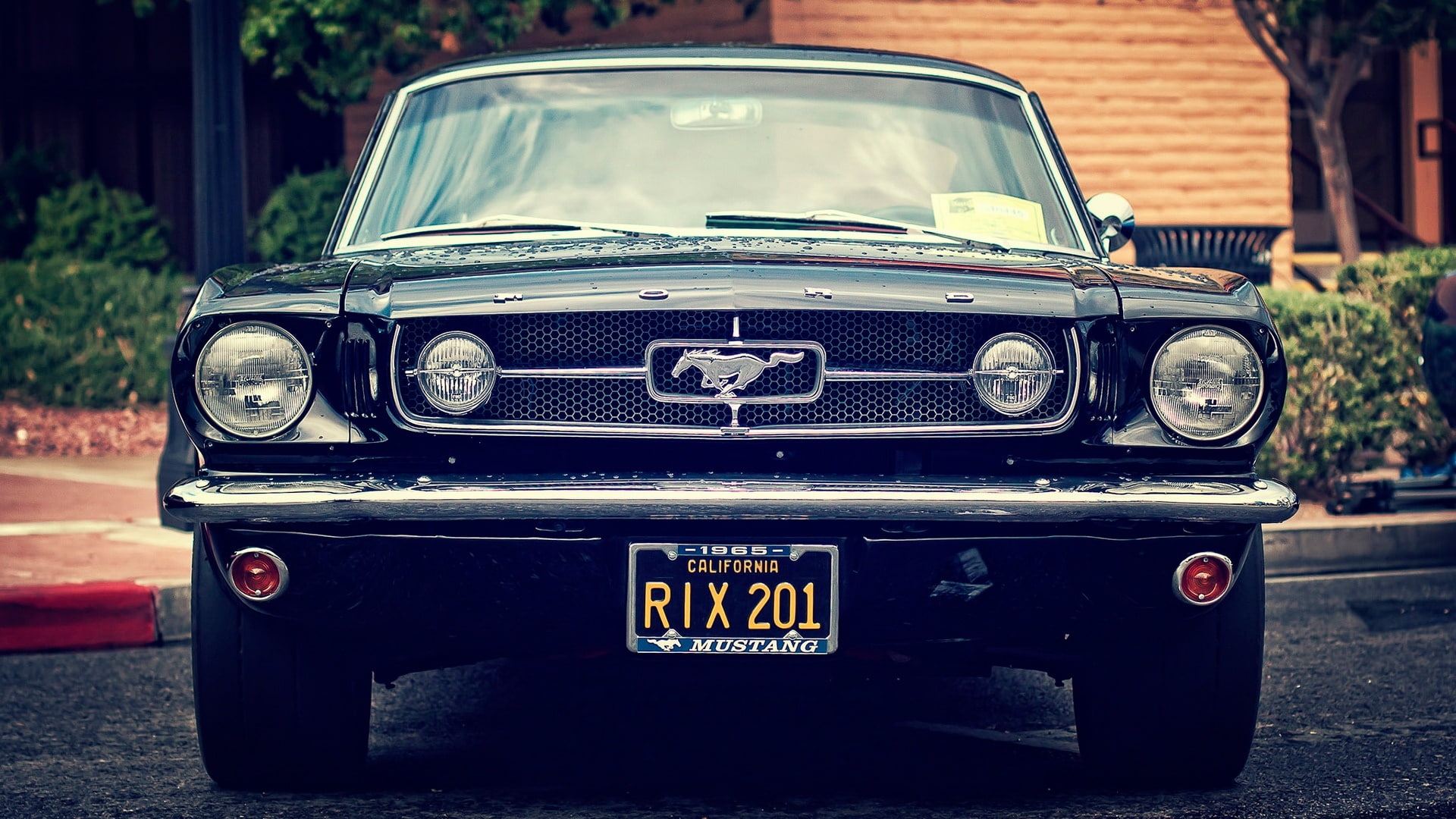 ford mustang, 1080P, classic car, ford, 1965, first generation ford mustang, mustang, muscle car, HD Wallpaper
