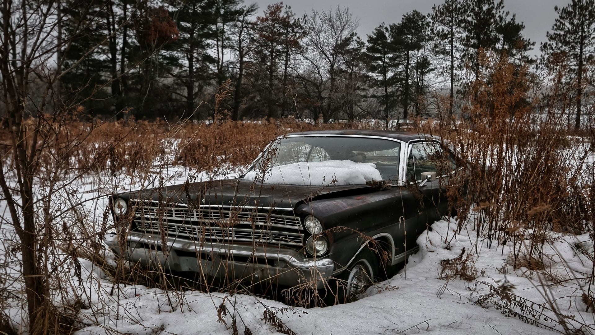 Ford USA, outdoors, day, field, damaged, land vehicle, winter, land, transportation, vehicle, tree, car, deterioration, mode of transportation, motor vehicle, HD Wallpaper