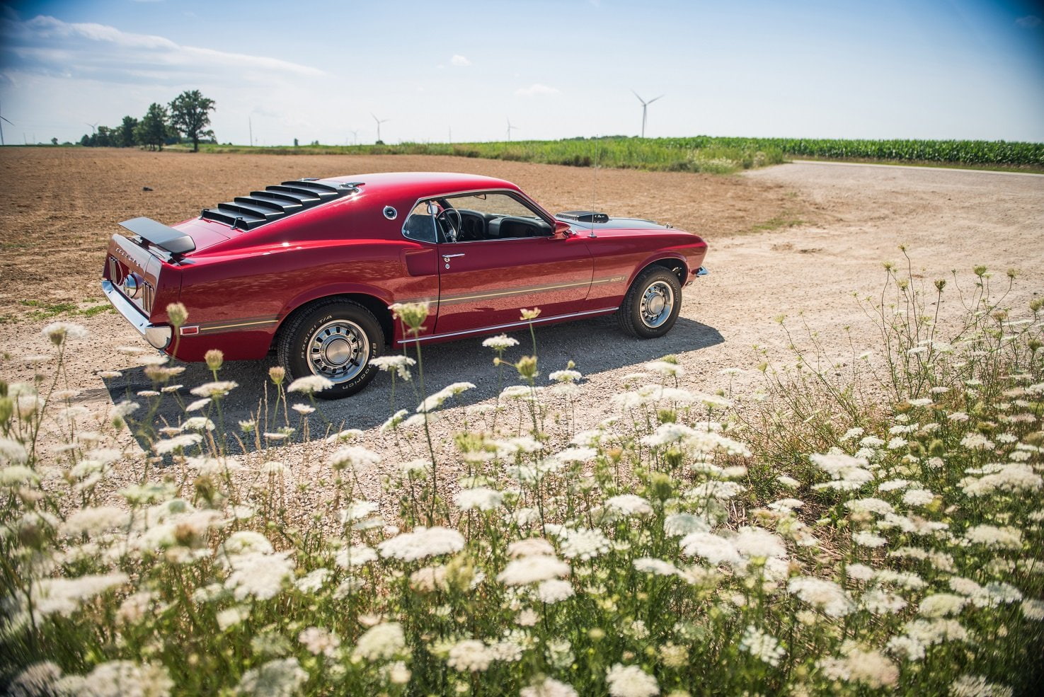 jet, 720P, mach-1, 1969, cars, mustang, cobra, ford, 428, super, HD Wallpaper