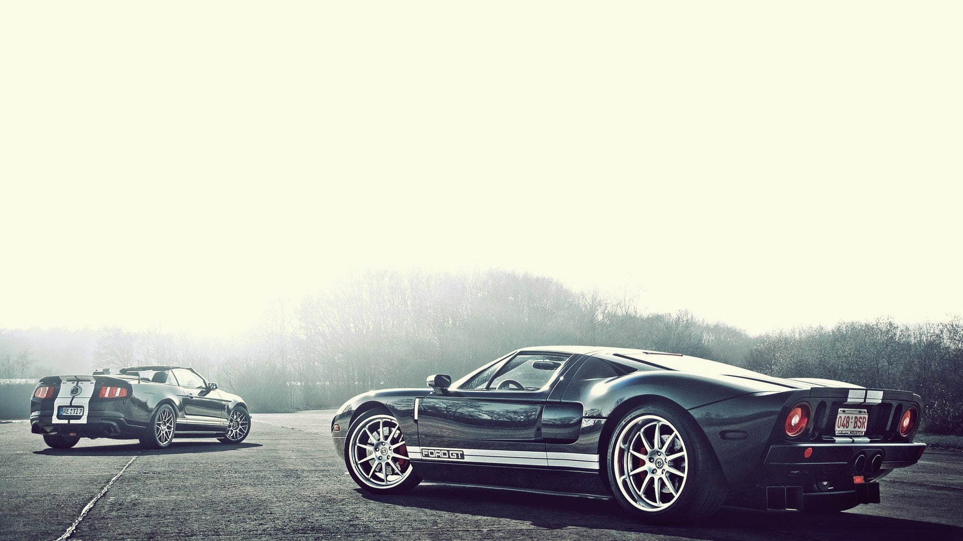 gt, cars, gt500, cobra, mustang, hd, ford, 1080P, shelby, warm, HD Wallpaper
