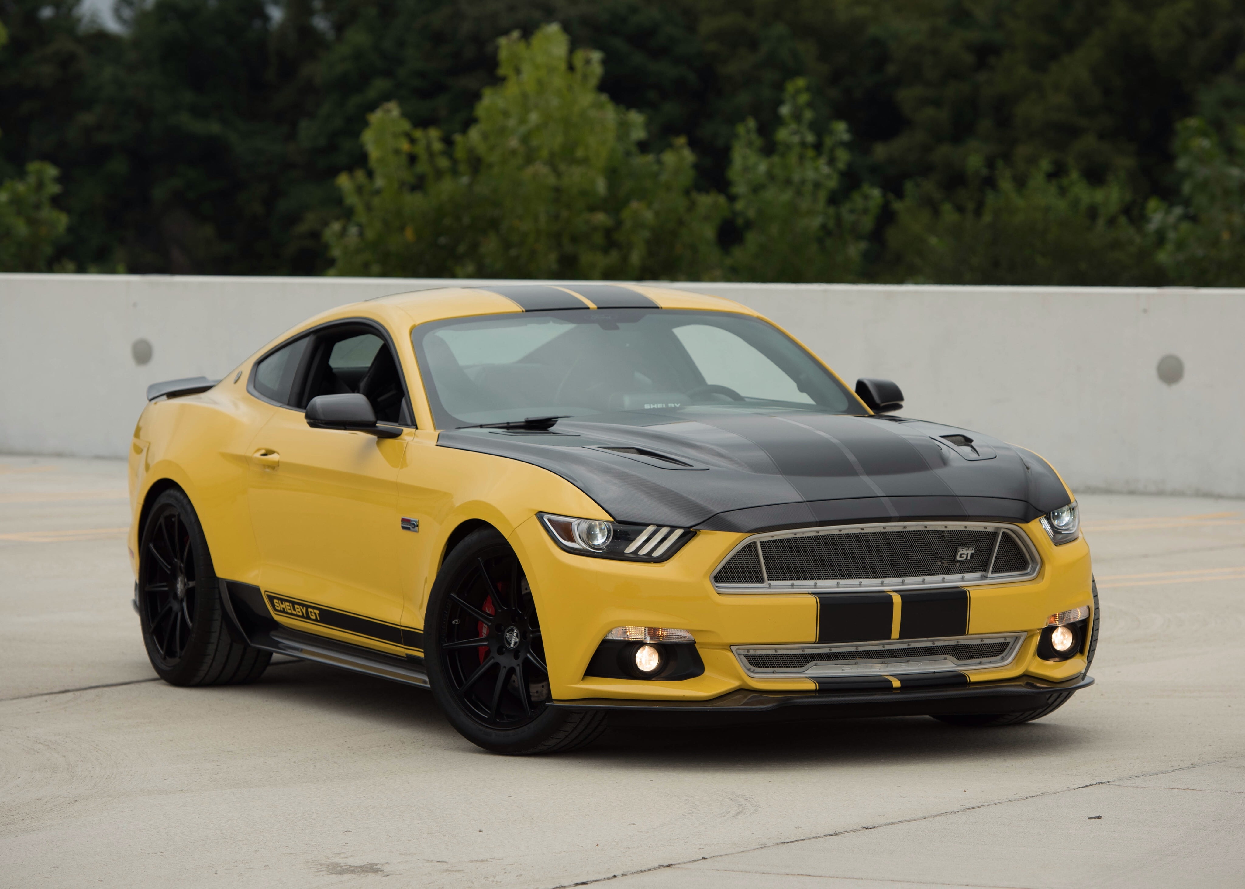 motor Vehicle, land Vehicle, coupe, side View, sport, performance, black, engine, wheel, retro styled, innovation, sunlight, shiny, shelby, racecar, modern, HD Wallpaper