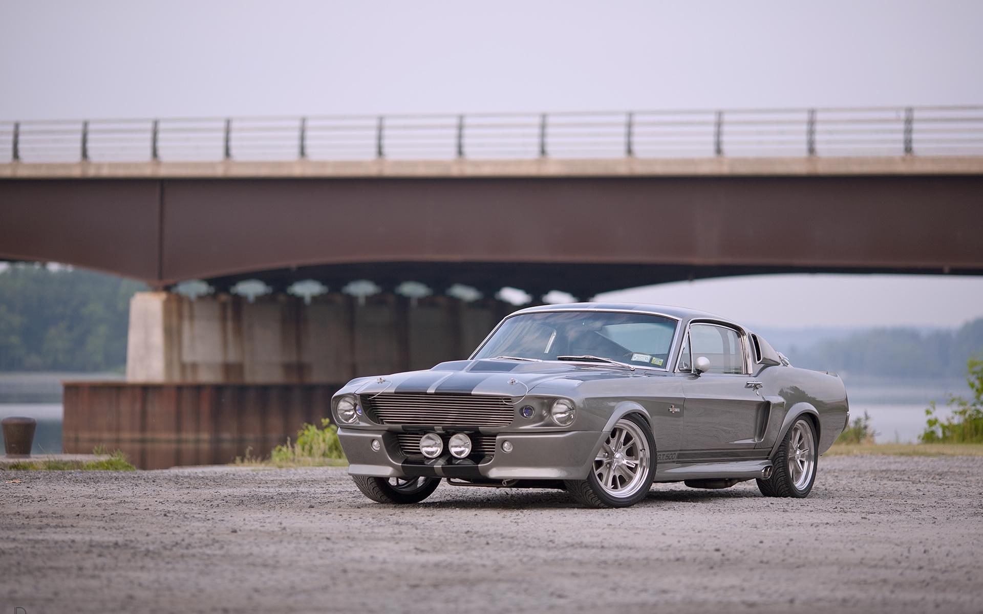 ford mustang, ford, 1080P, shelby, gt 500, gt, coupe, gray, 1920x1200, cars, shelby mustang, HD Wallpaper