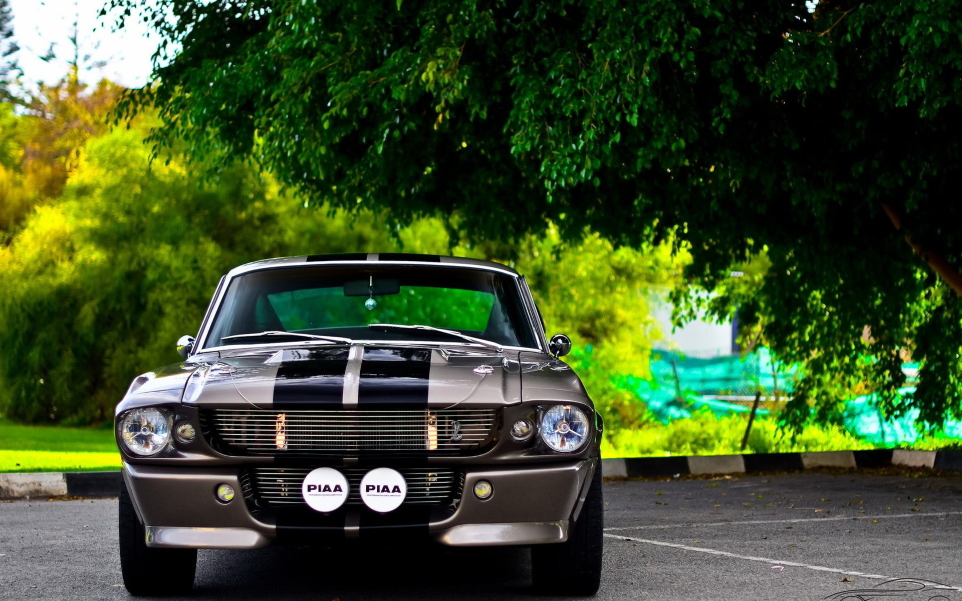 elanor, mustang, gt350, 1080P, ford, cars, shelby, HD Wallpaper