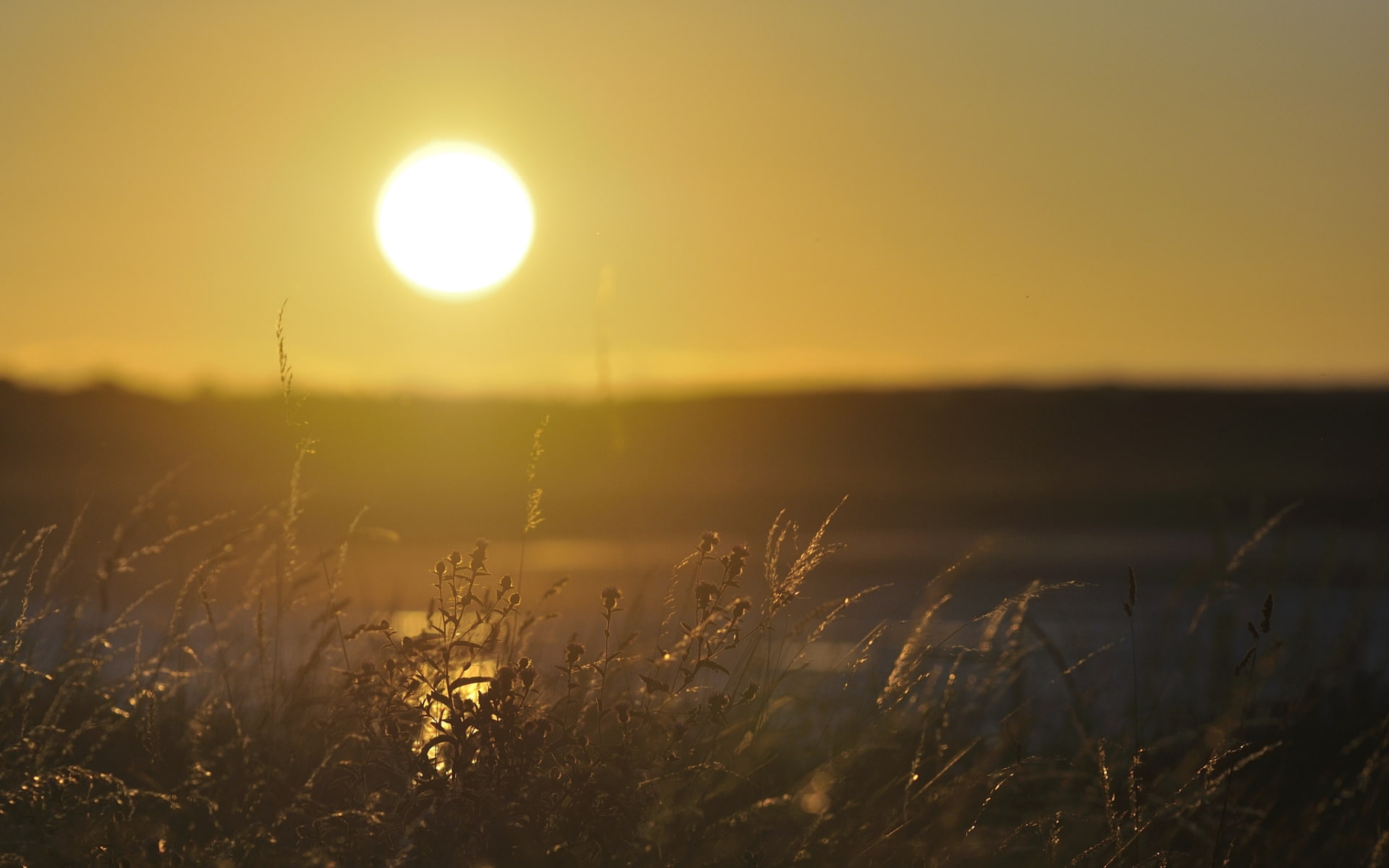 warm, nature, hd, 1080P, sunset, HD Wallpaper