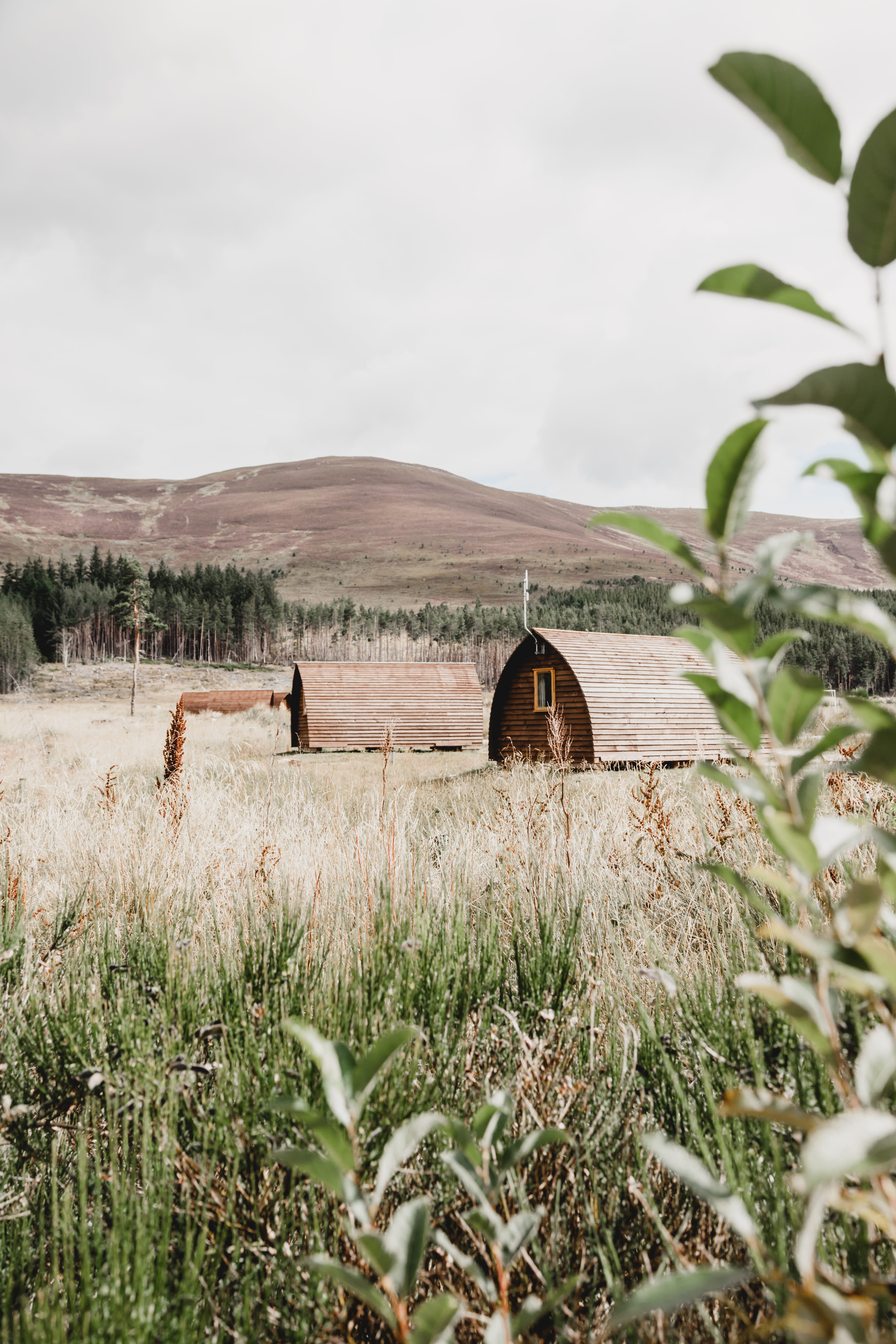 no People, open, obsolete, abandoned, autumn, grass, summer, rustic, scottish, meadow, rural Scene, red, countryside, wooden, field, barn, scenic, retro Styled, Phone HD Wallpaper