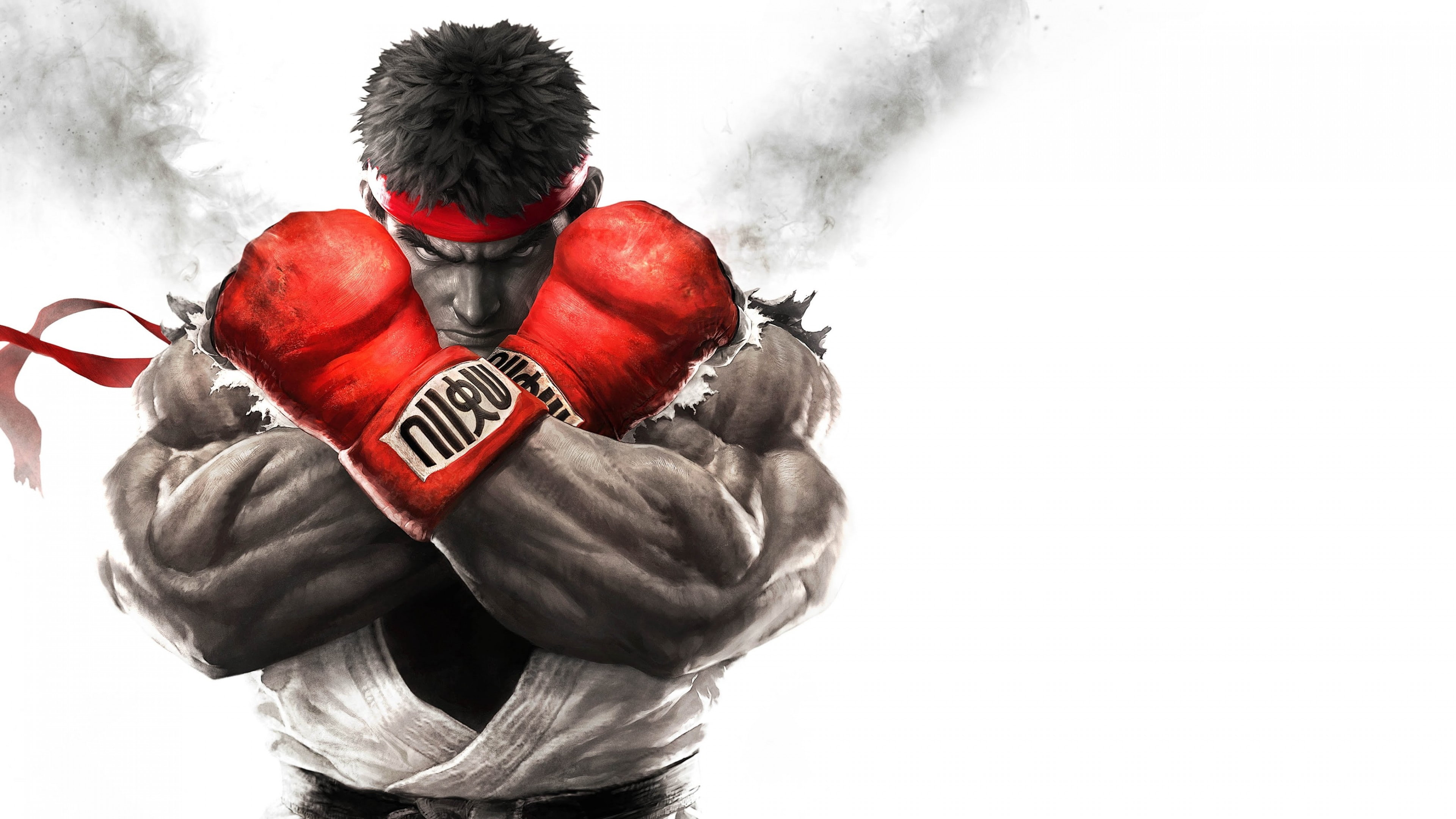 street, 4K, Street Fighter 5, Best Games 2016, fantasy, PC, poster, fighter, PS4, HD Wallpaper