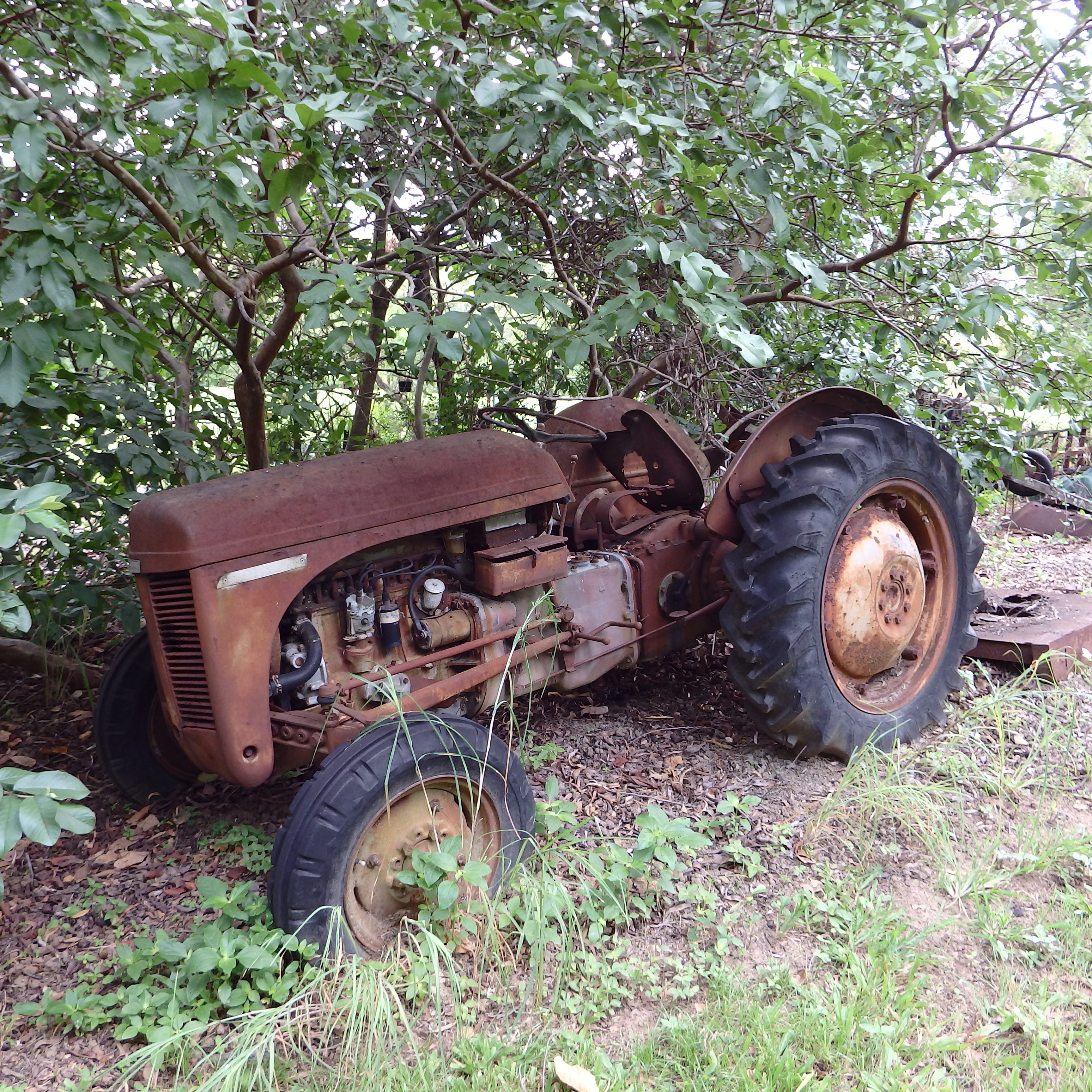 transportation, tire, abandoned, corrosion, dirty, ruin, no people, antique, tree, 2K, decay, run-down, rustic, agriculture, rust, ancient, iron, rusty, Phone HD Wallpaper