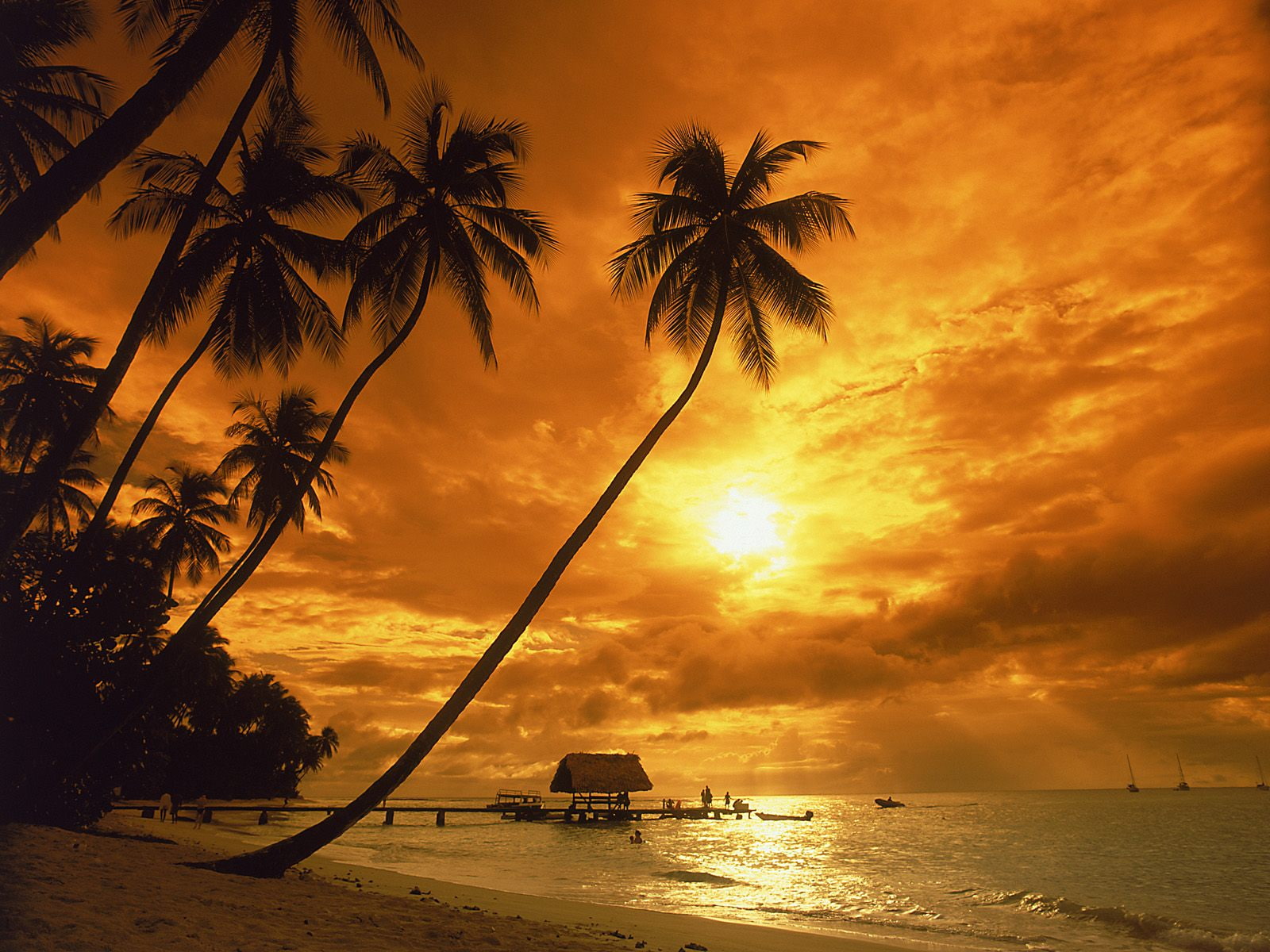 shoreline, point, hour, hut, trees, palm, at, pigeon, beach, near, silhouette, water, distance, sunset, body, coconut, 720P, hd, golden, photo, HD Wallpaper