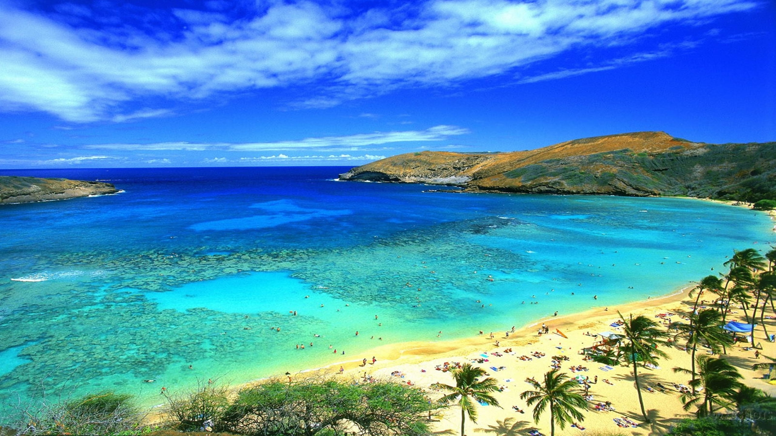 hawaii, beach, honolulu, 2K, HD Wallpaper