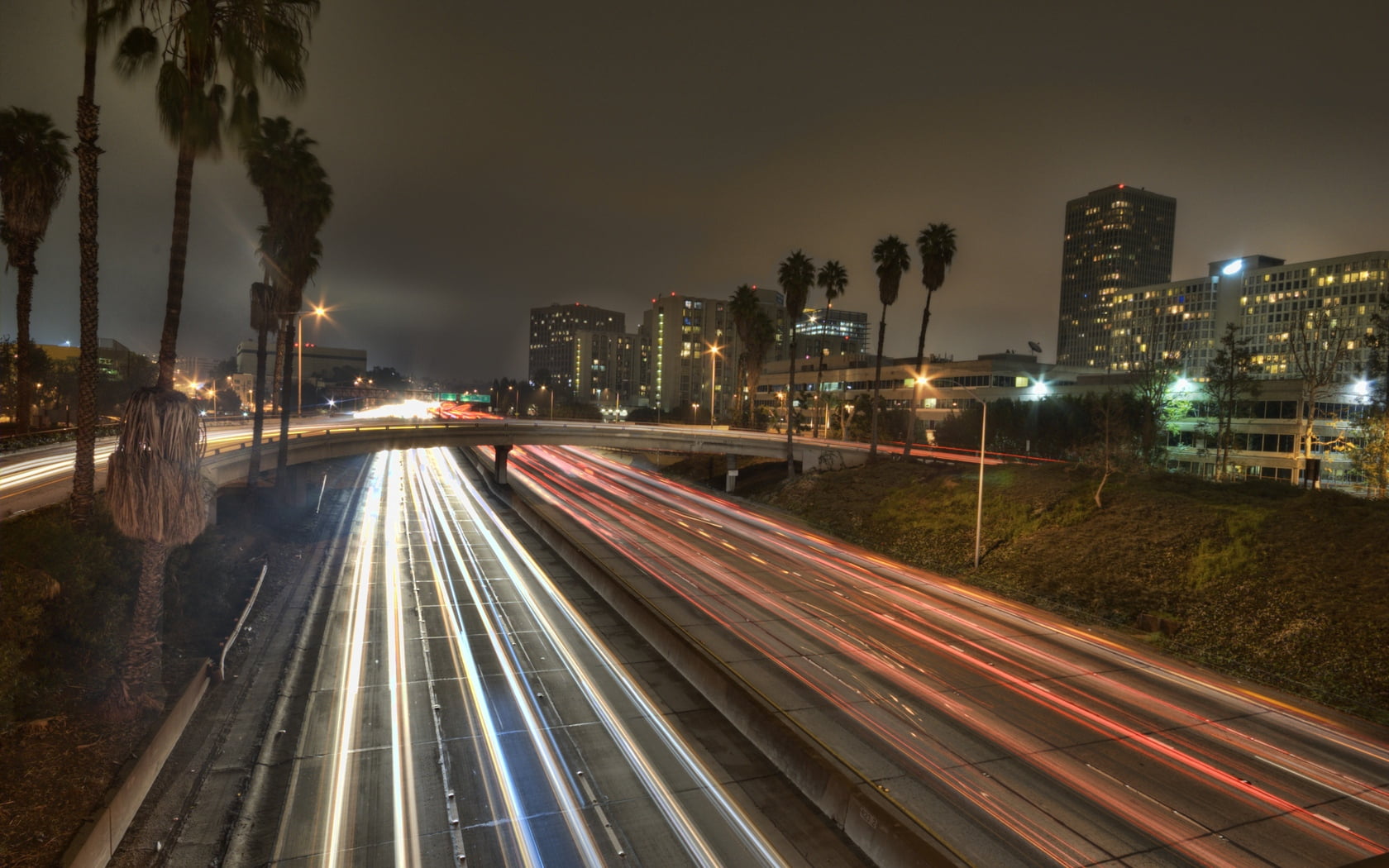 street, downtown District, office building exterior, street Light, motion, nature, palm, sky, speed, light Trail, multiple Lane Highway, tree, cityscape, HD Wallpaper