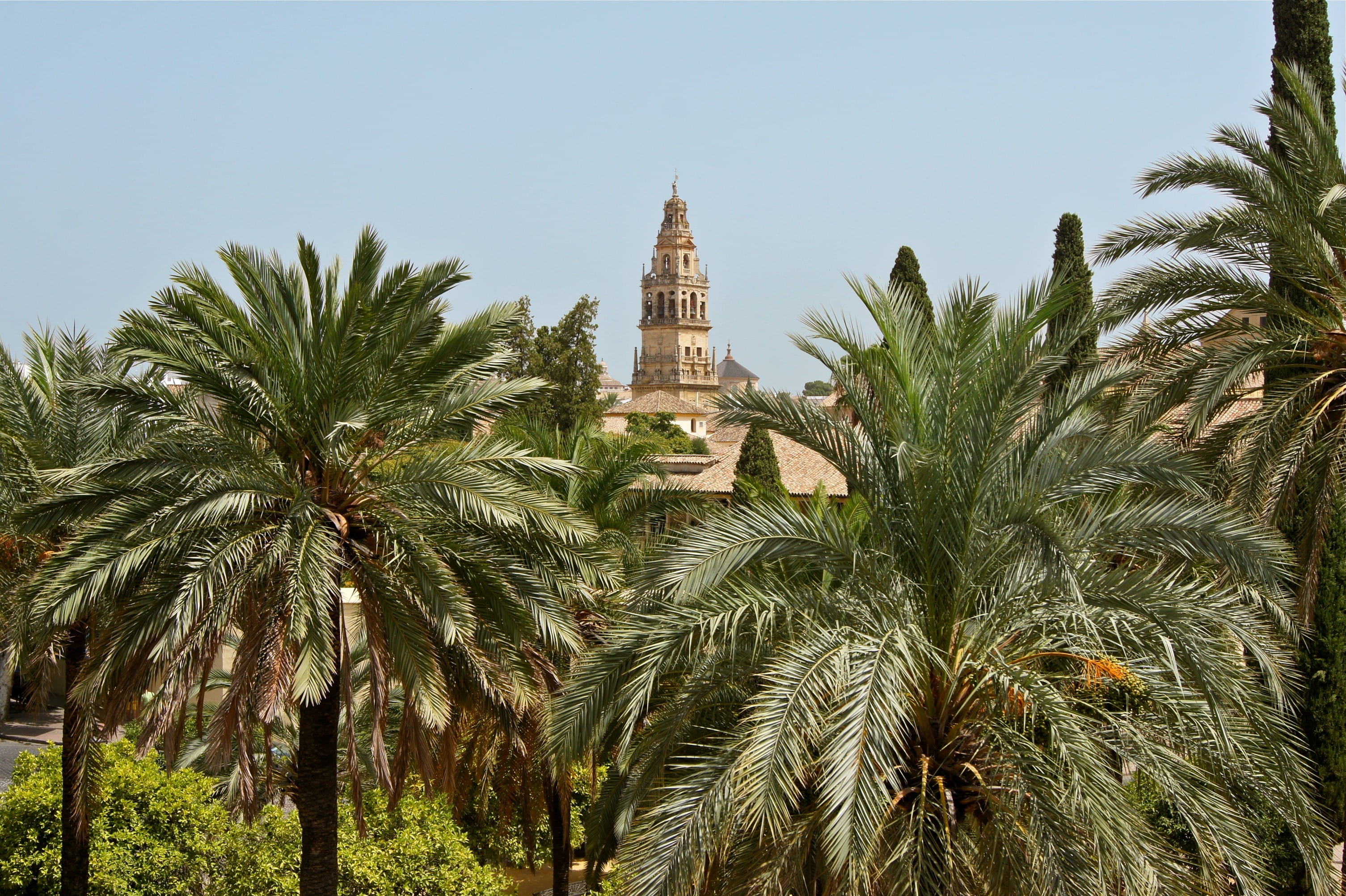 building exterior, building, clouds, photography, sky, destinations, belief, palm trees, tropical climate, palm tree, religion, palm leaf, spain, view, HD Wallpaper