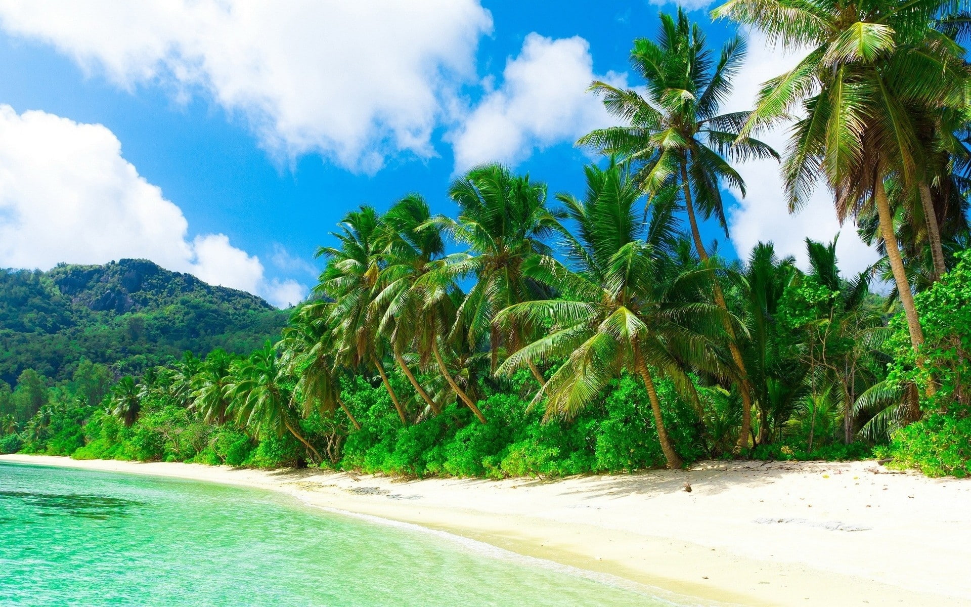1080P, sand, beach, trees, palm, nature, landscape, sea, tropical, clouds, holiday, hill, summer, HD Wallpaper