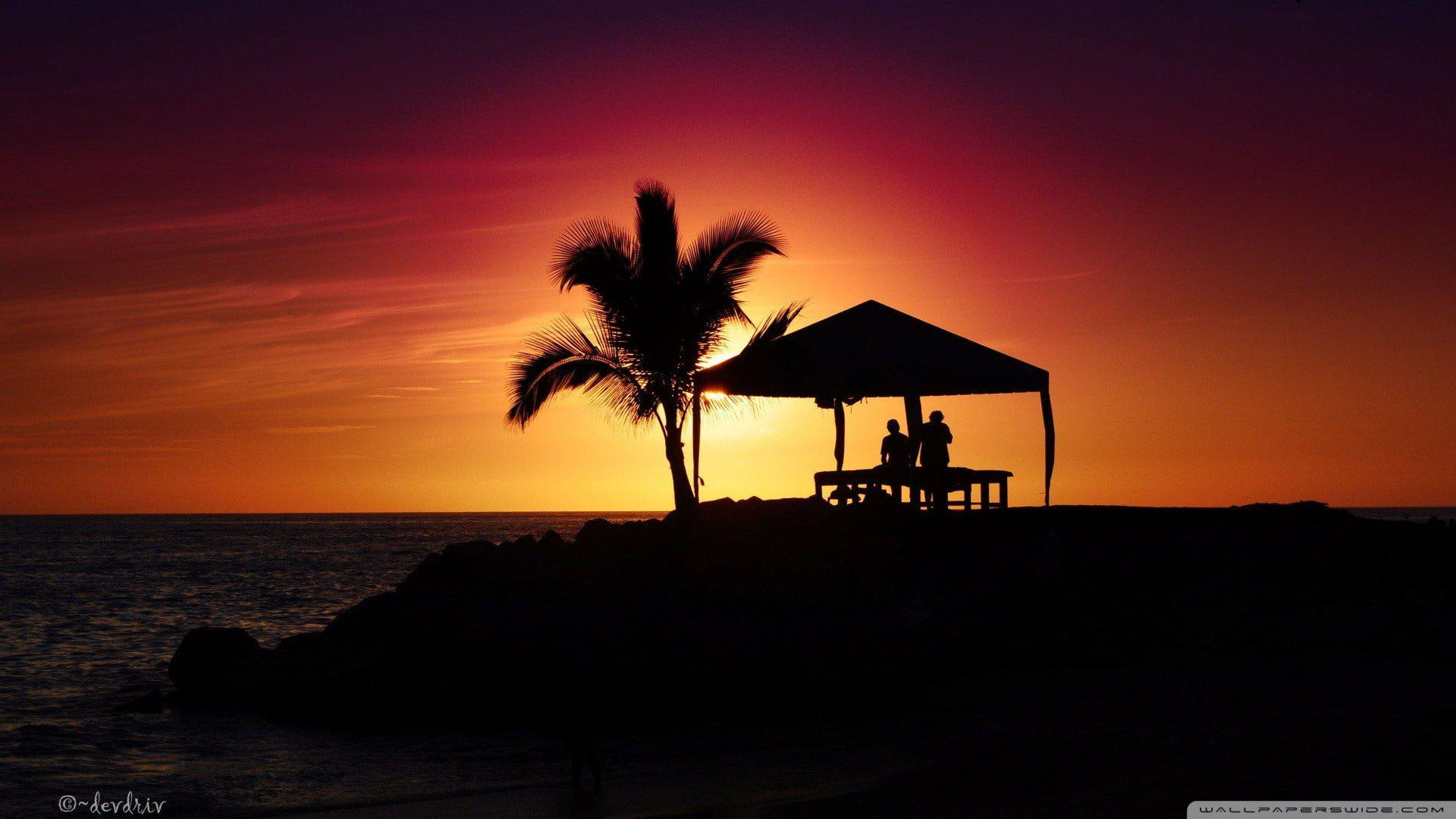 sunrise - sunset, trees, sea, palm, android, sun, summer, huts, nature, silhouettes, beaches, 1080P, HD Wallpaper