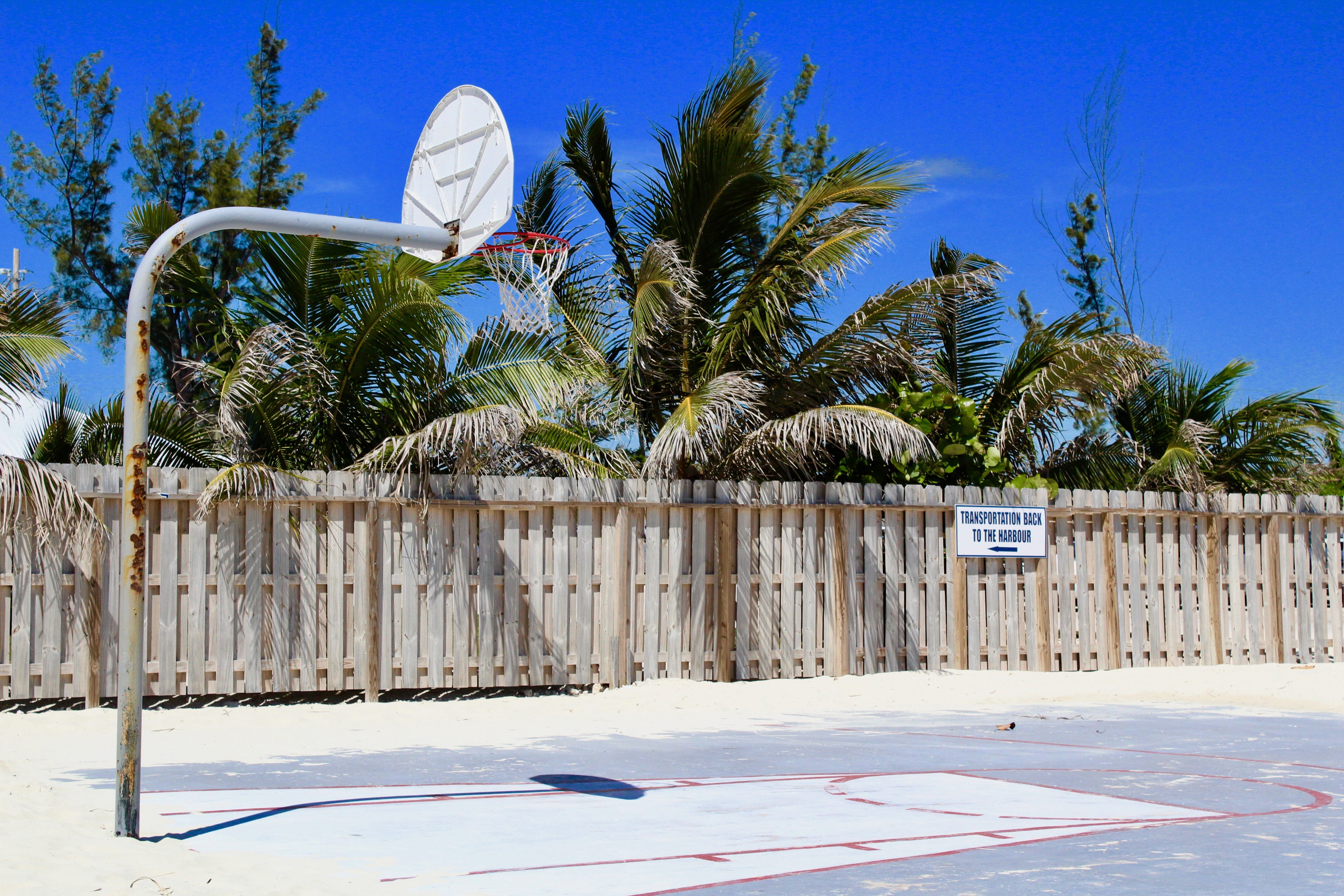 day, outdoors, sunny, shadow, tree, building exterior, white, blue, beach, nature, sunlight, net, coconut, near, hoop, sky, basketball, system, plant, no people, HD Wallpaper